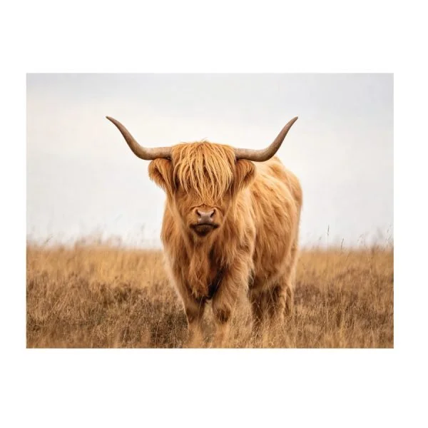 jv6940-herdsonthehorizon-60x80c-2-600x600.jpg