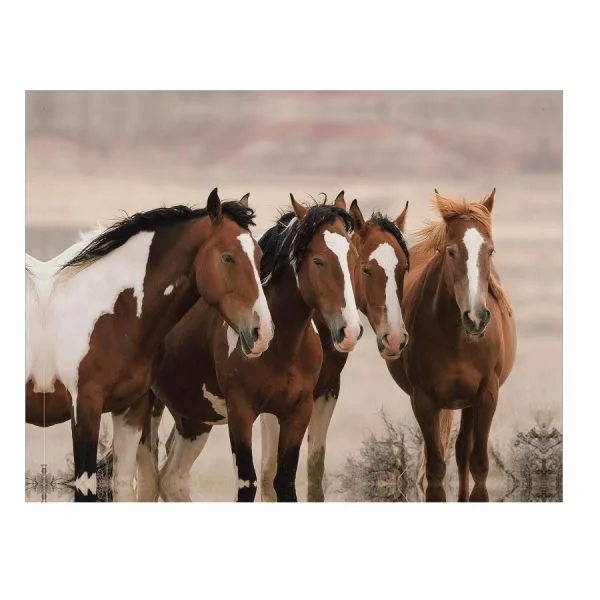 jv6326-hillsandhorns-60x80cm6-600x600.jpg