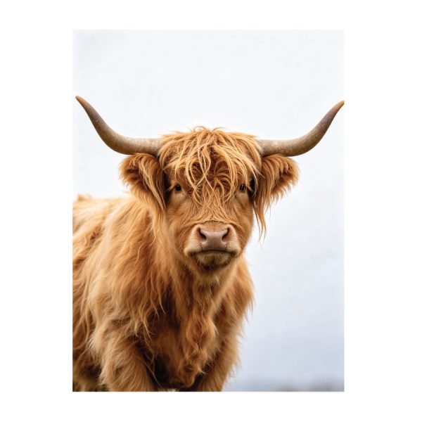 jv6940-herdsonthehorizon-60x80c-4-600x600.jpg