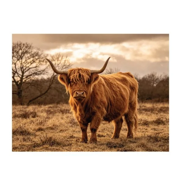 jv6940-herdsonthehorizon-60x80c-3-600x600.jpg