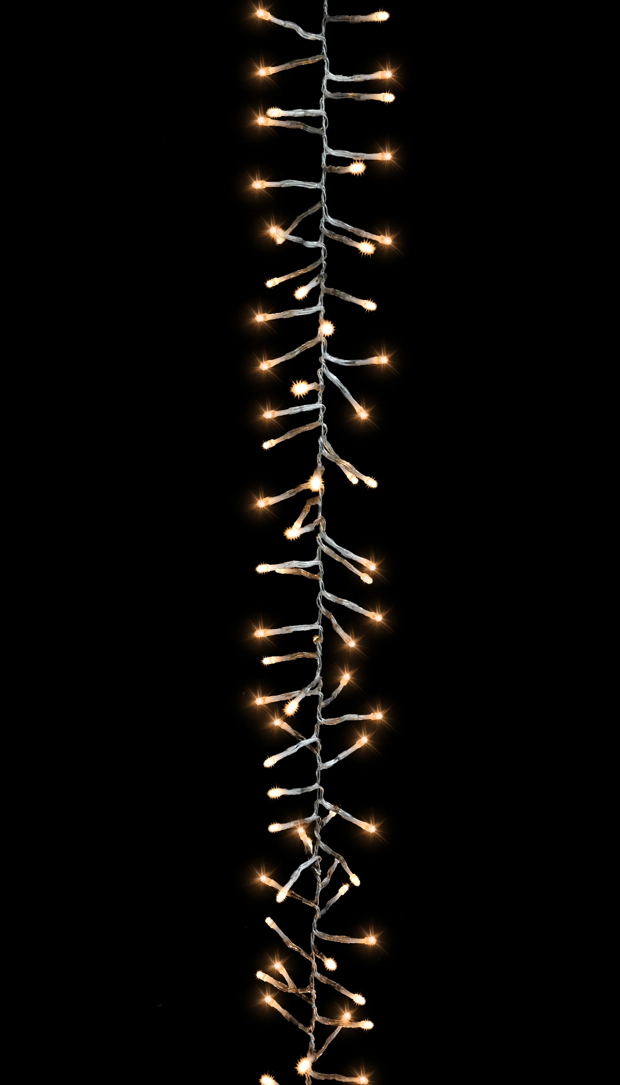 XL0000305 (1).jpg