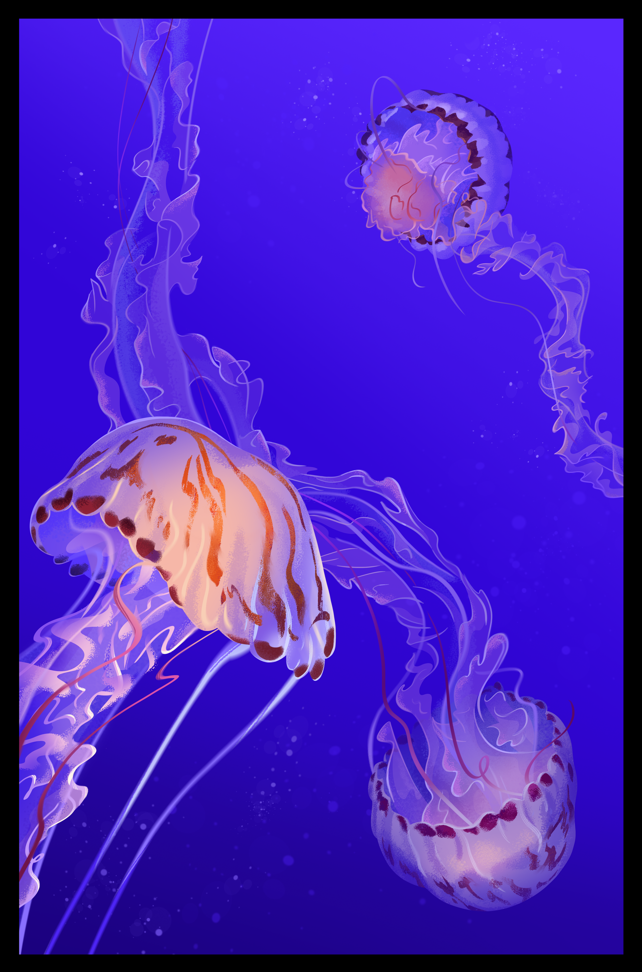 Jellyfish painting_final.png