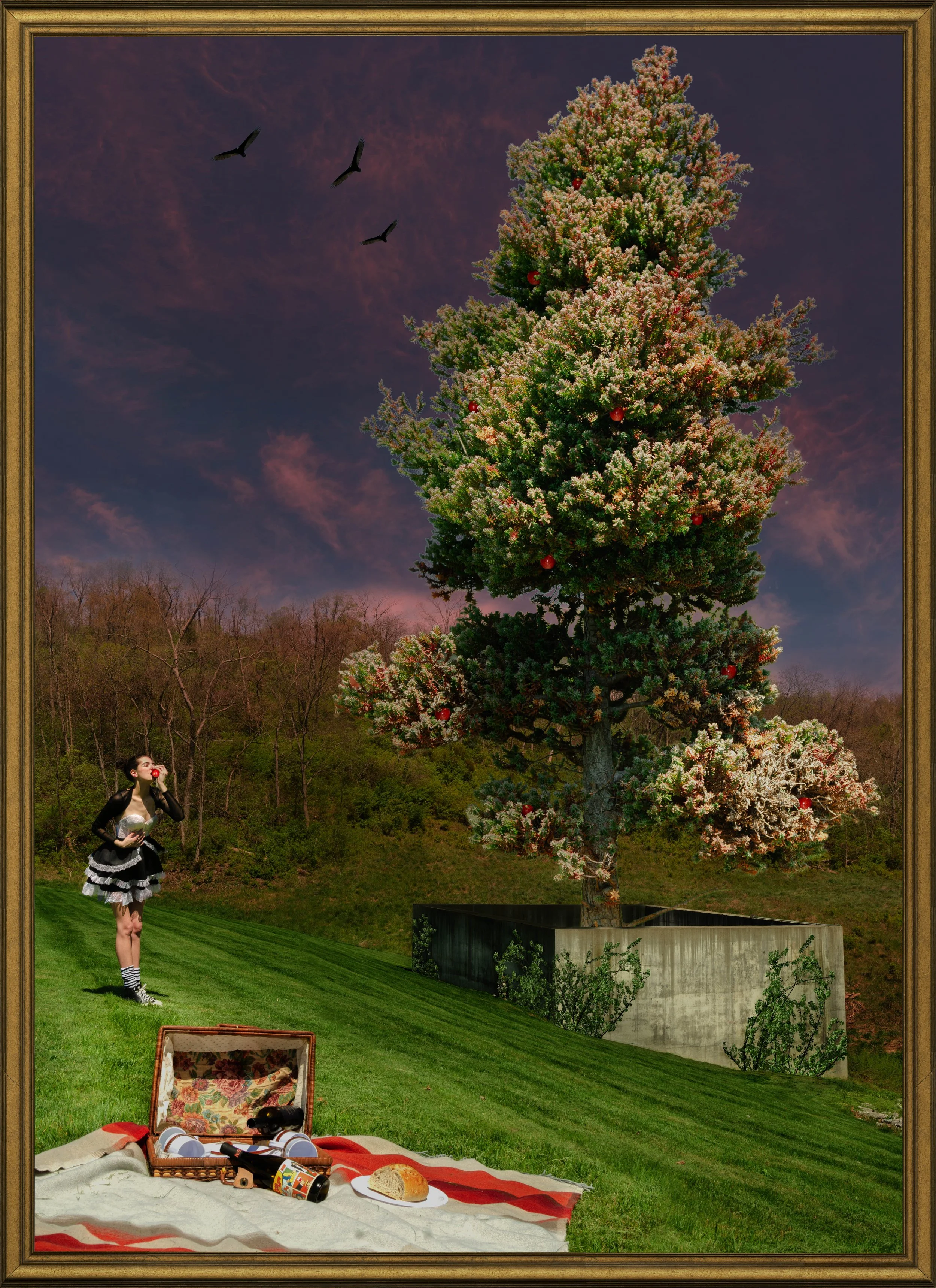 Salter_CaampLandscape copy.jpg