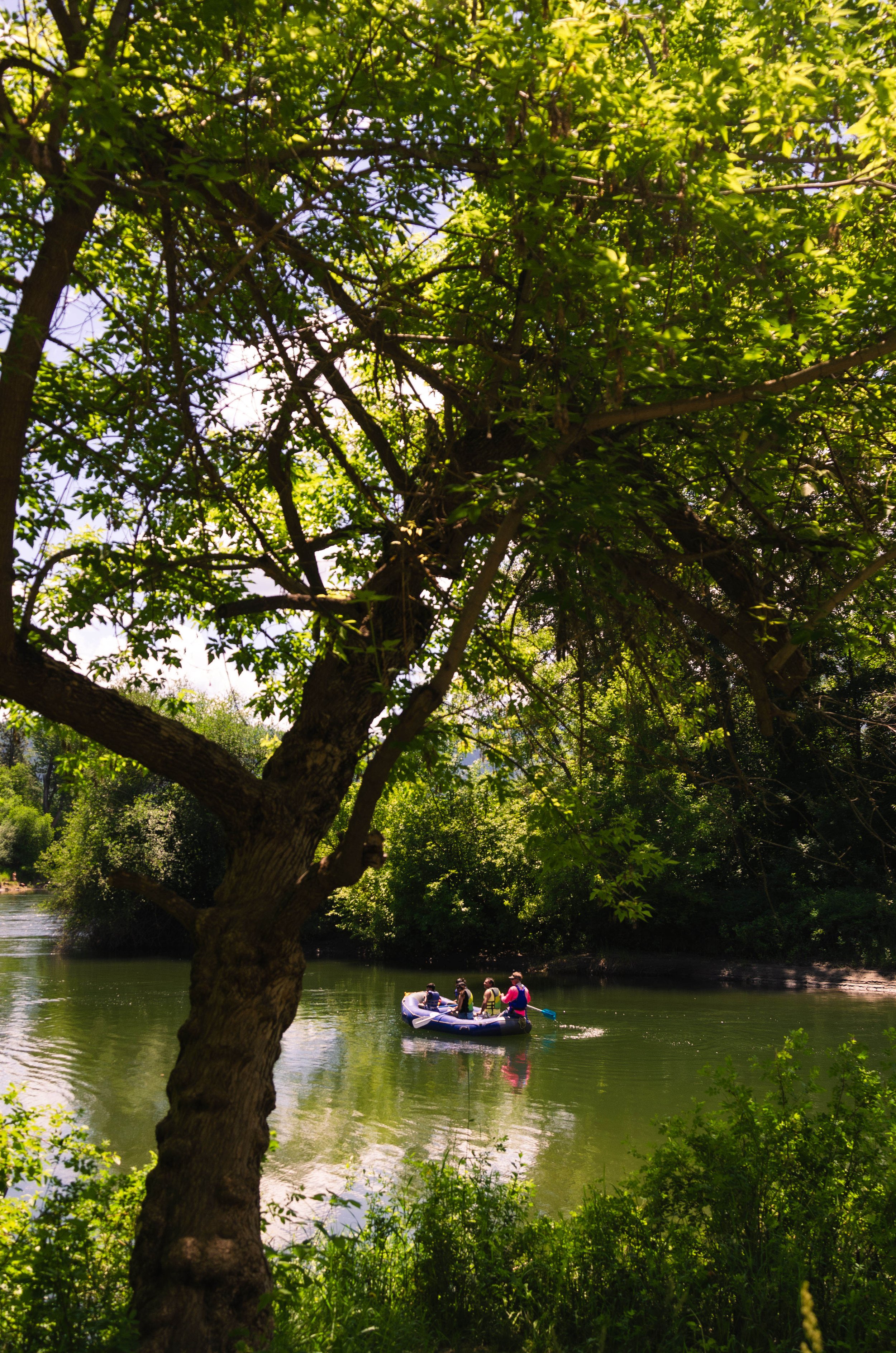 A group of four people on an inflatable boat paddling on a green river, surrounded by trees and foliage.