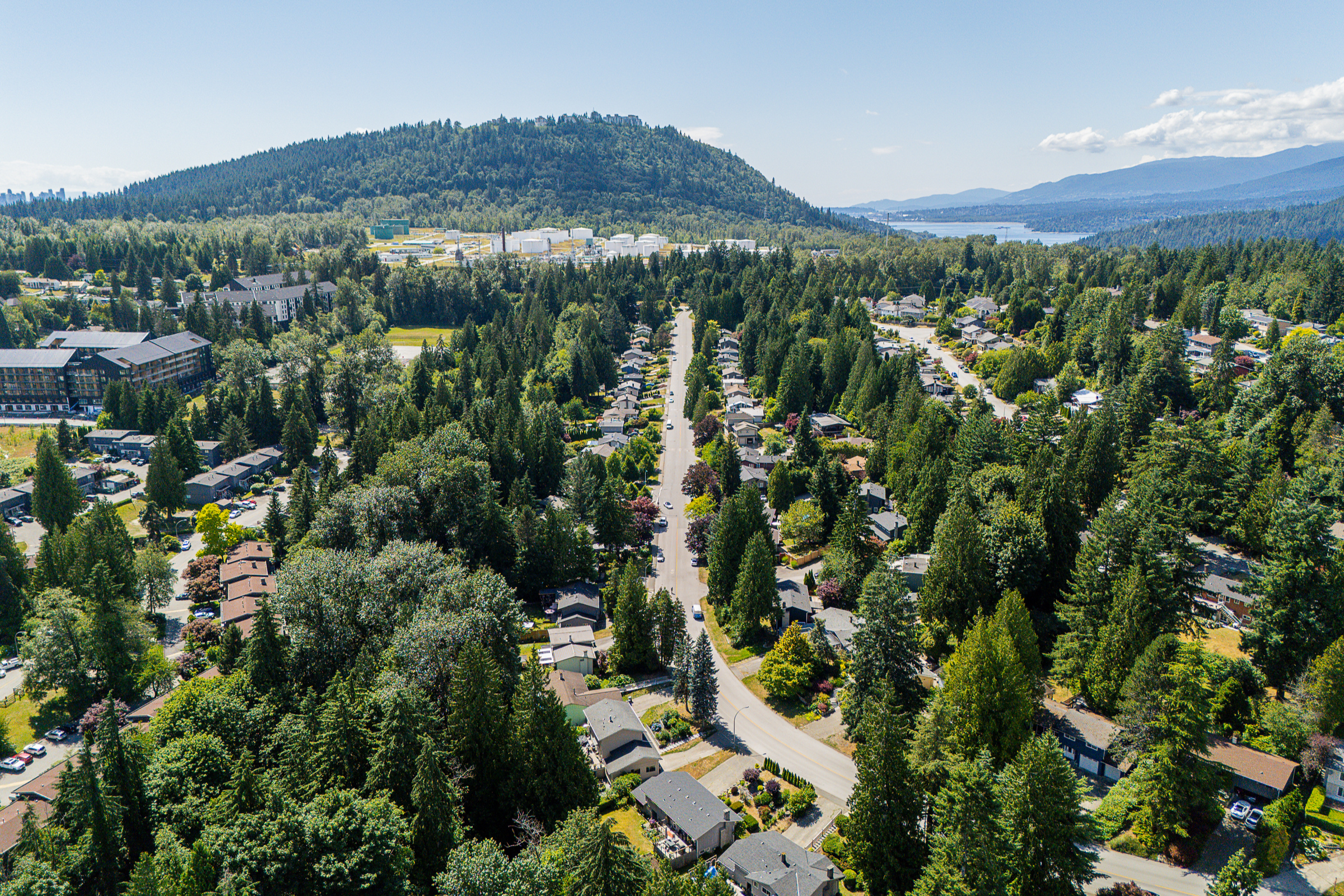137-College-Park-Way-Port-Moody-Carolyn-Pogue-Best-Port-Moody-Real-Estate-Agent-in-College-Park-34.png