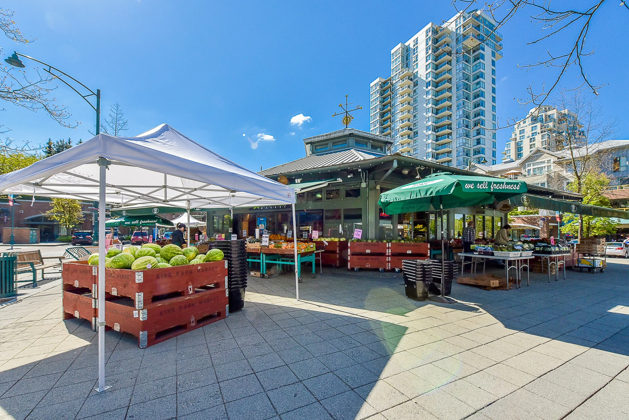 Newport Village Neighbourhood Spotlight