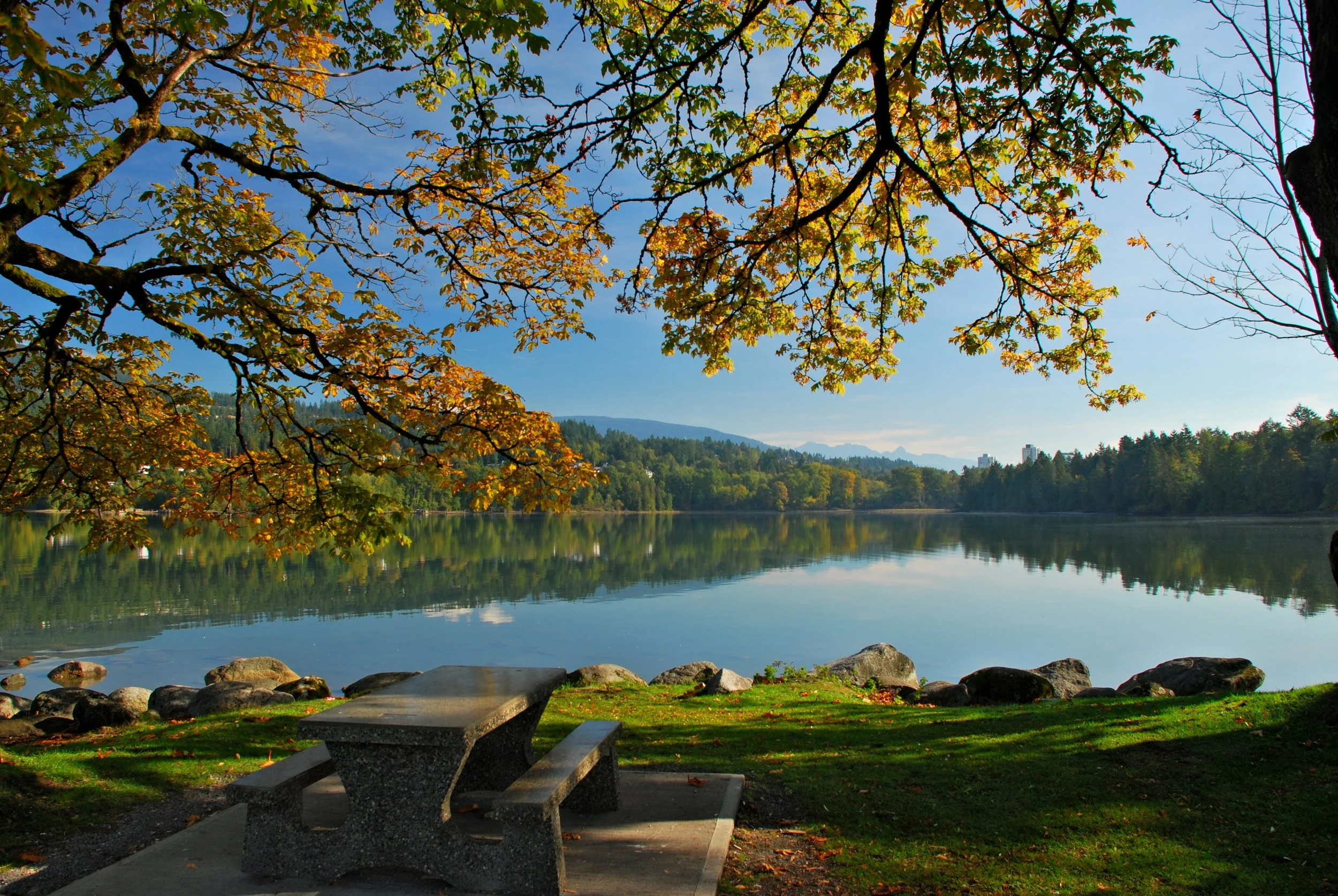 Port-Moody-Parks-Rocky-Point-Park.jpg