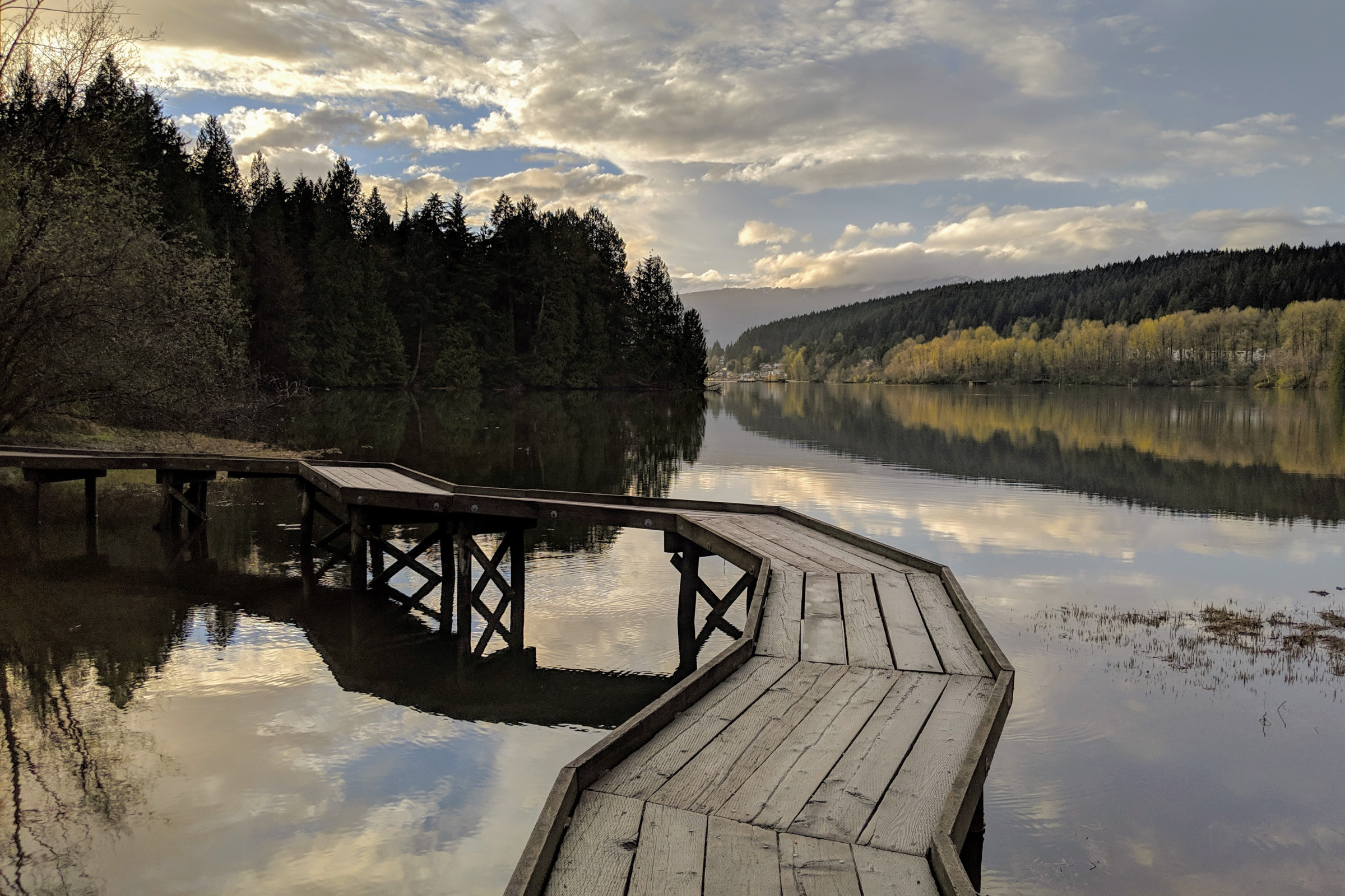 Shoreline-Trail-Port-Moody-Parks.png