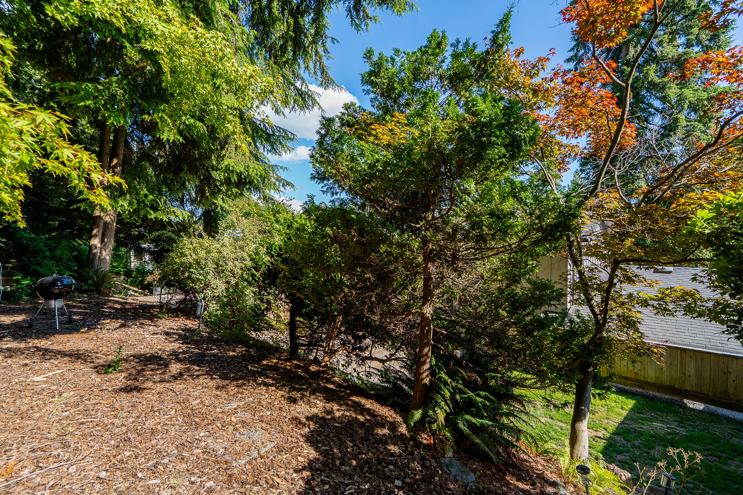 137-College-Park-Way-Port-Moody-Carolyn-Pogue-Best-Port-Moody-Real-Estate-Agent-in-College-Park-30.jpg