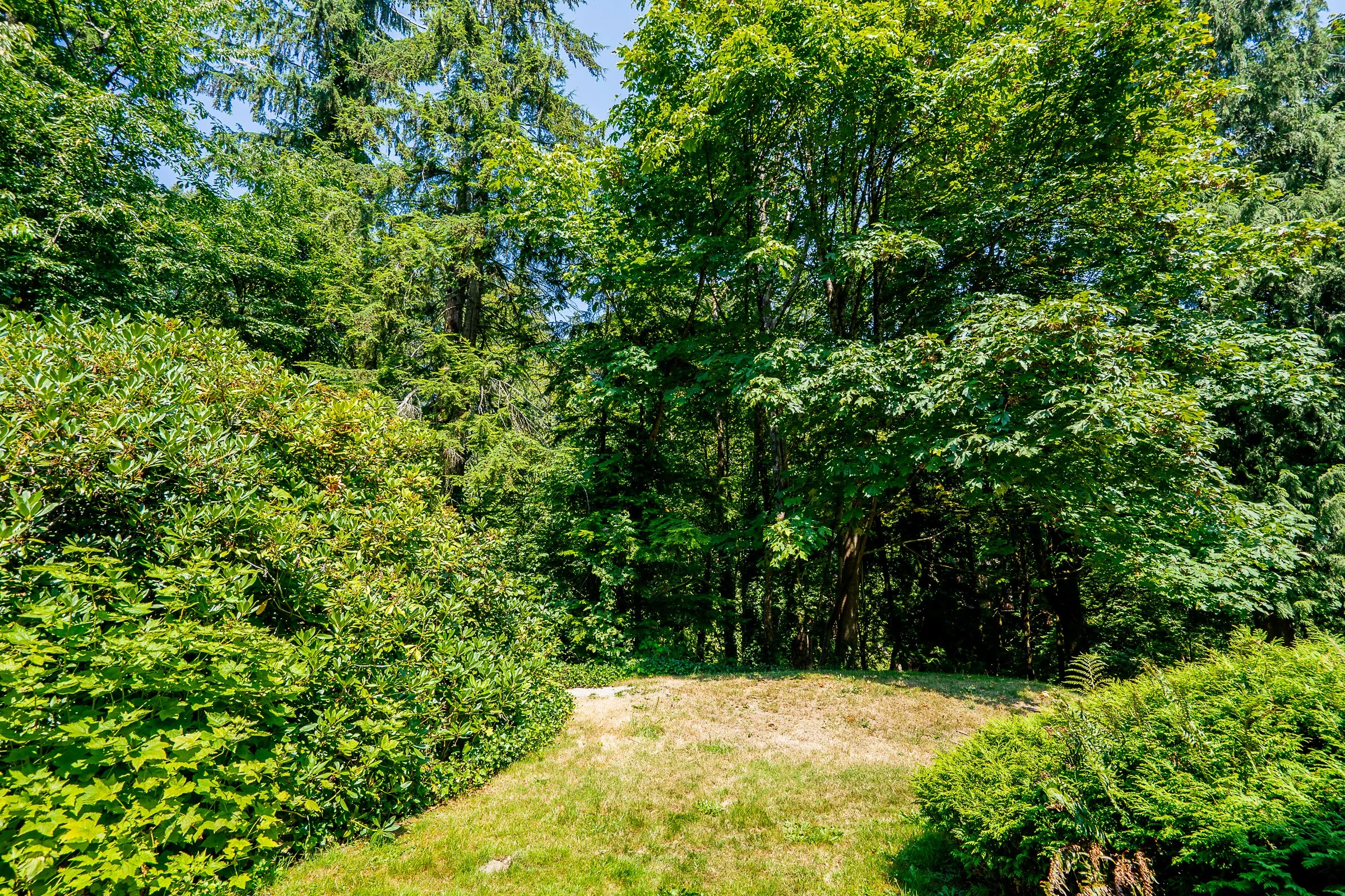 241B-Evergreen-Drive-College-Park-Port-Moody-Carolyn-Pogue-Best-Port-Moody-Real-Estate-Agent-13.jpg