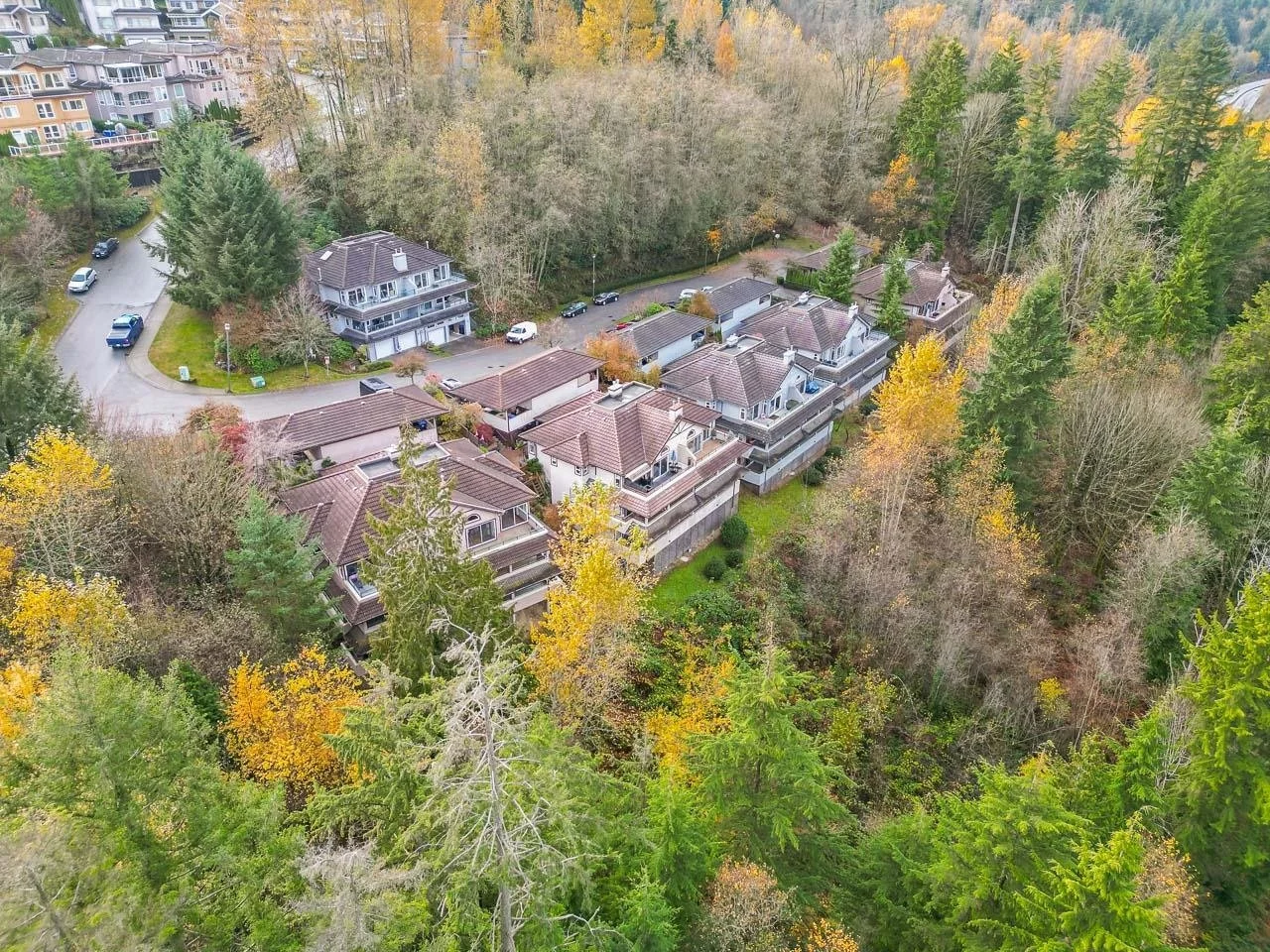 70-Shoreline-Circle-College-Park-Townhome-Port-Moody-Carolyn-Pogue-Top-Port-Moody-Real-Estate-Agent-37.jpeg