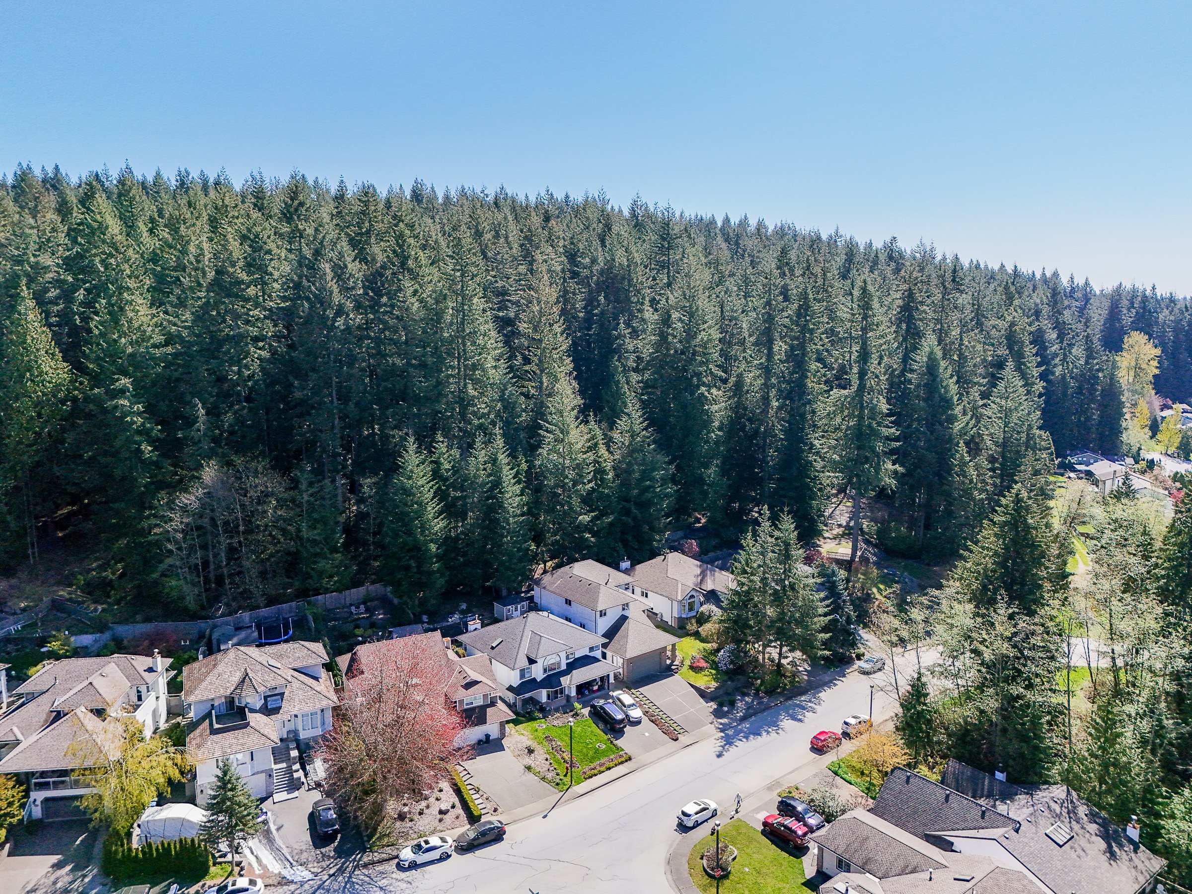 Barber Street Homes For Sale Port Moody Realtor Carolyn Pogue