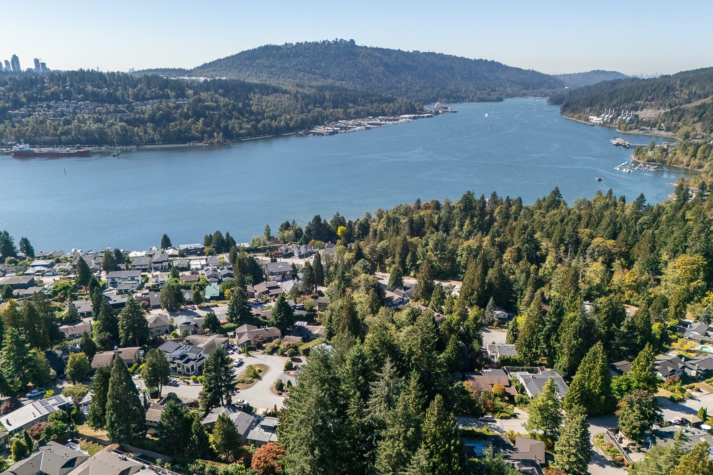 159-Roe-Drive-Port-Moody-Carolyn-Pogue-Best-Port-Moody-Real-Estate-Agent-37.png