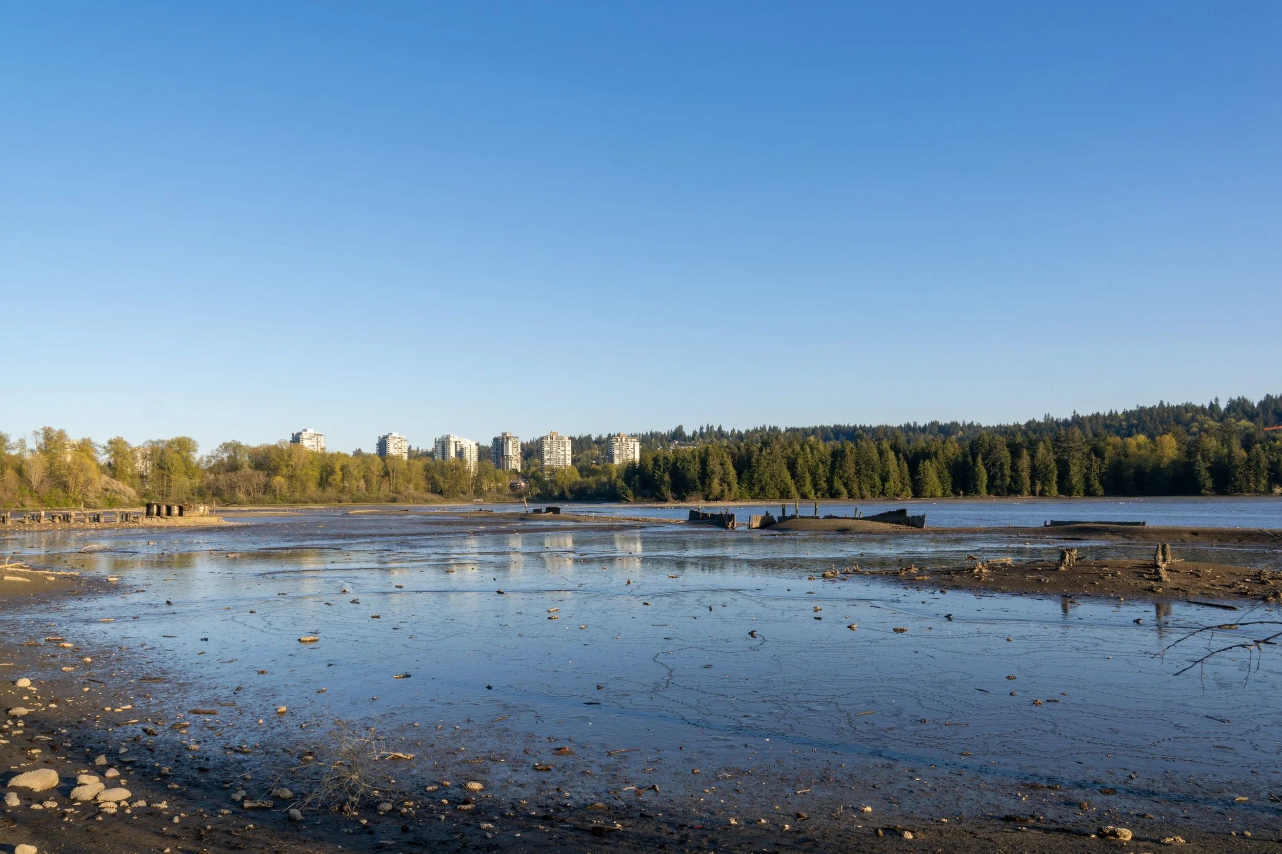 Old-Mill-Site-Park-Port-Moody-Real-Estate.jpg