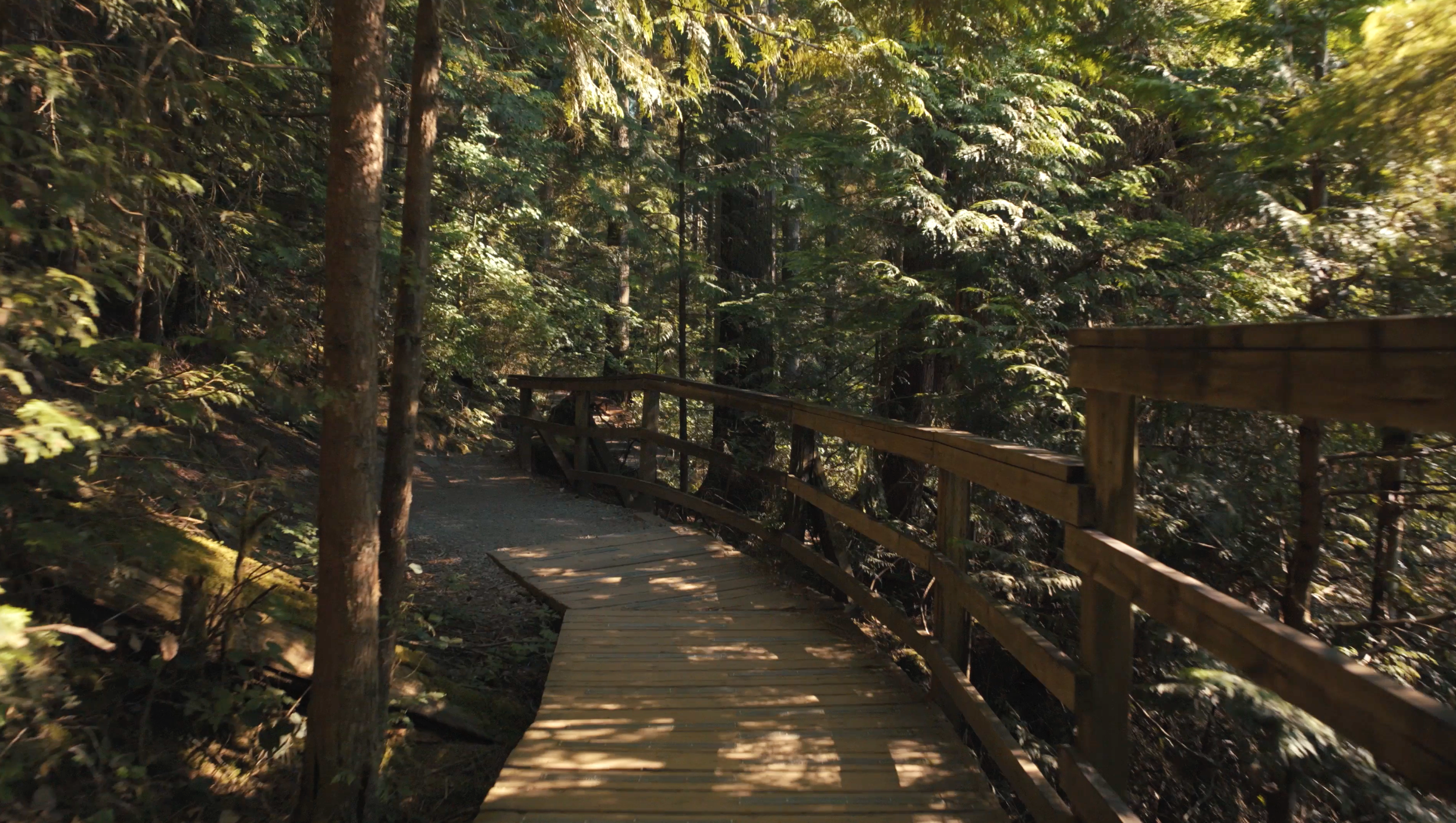 Bert-Flinn-Park-Port-Moody-Parks-and-Trails-3.png