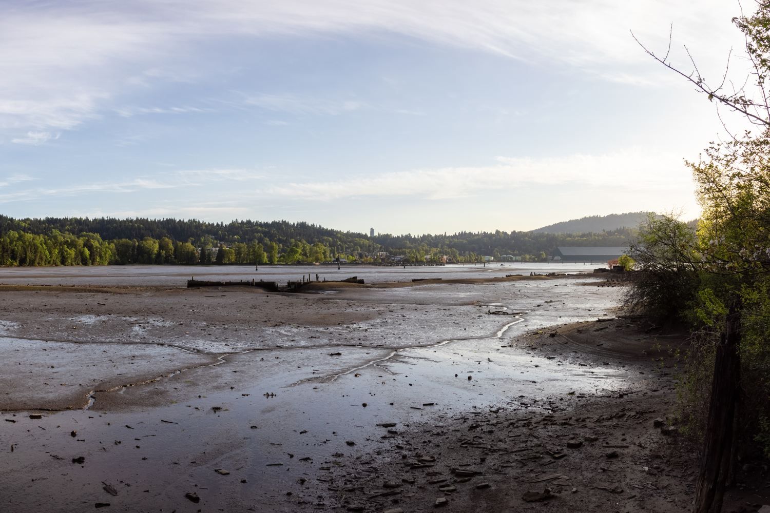 Old-Mill-Site-Park-Port-Moody-Parks.png