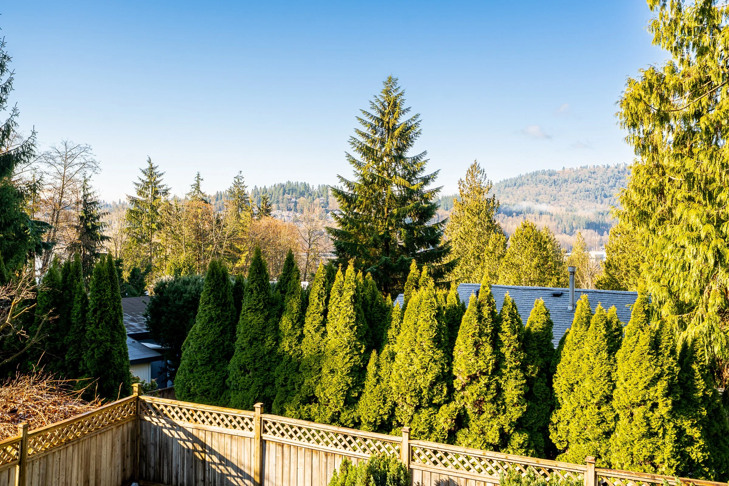 148-Roe-Drive-Port-Moody-Carolyn-Pogue-Best-Port-Moody-Real-Estate-Agent-25.jpg