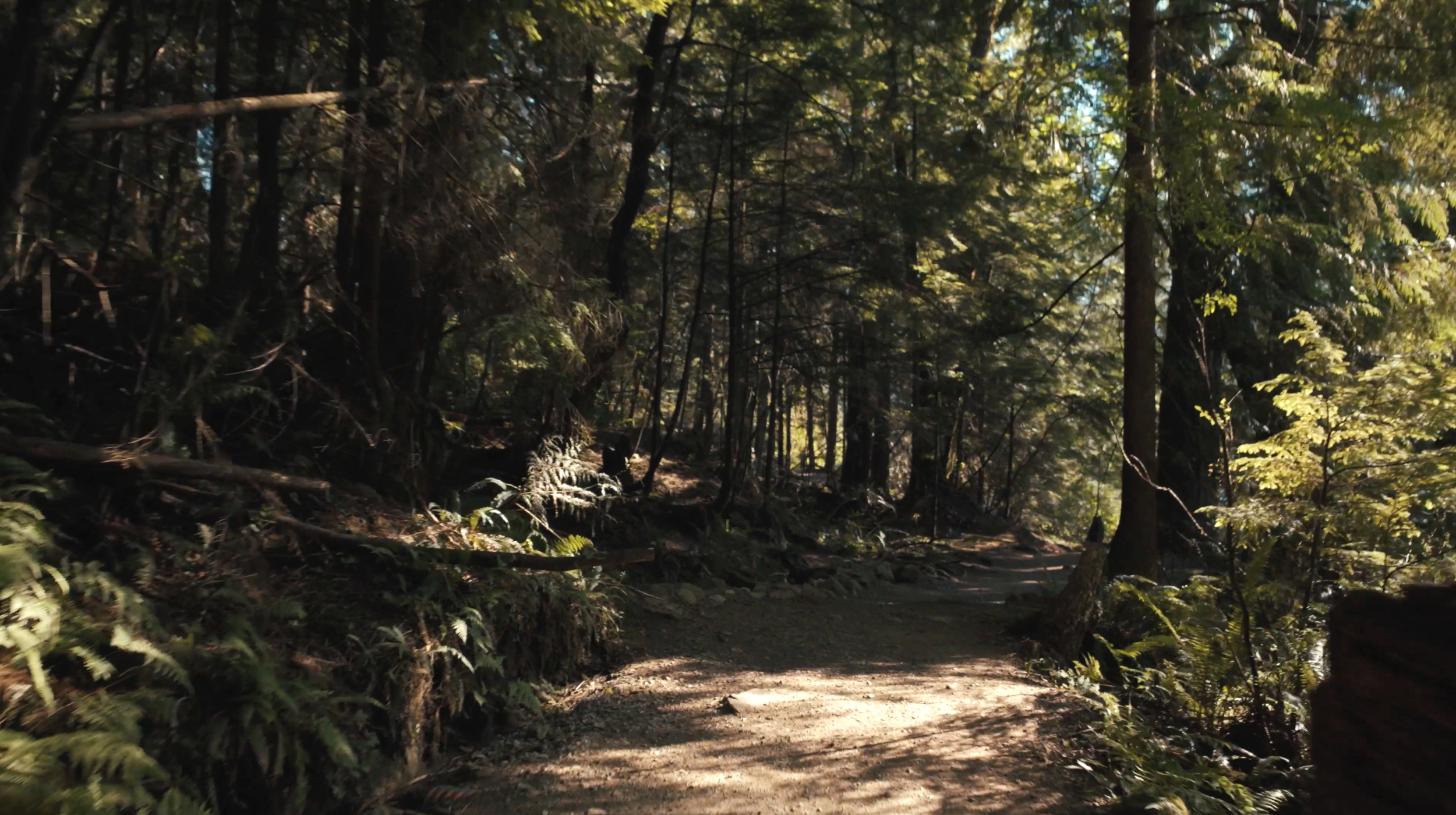 Bert-Flinn-Park-Port-Moody-Parks-and-Trails-2.png