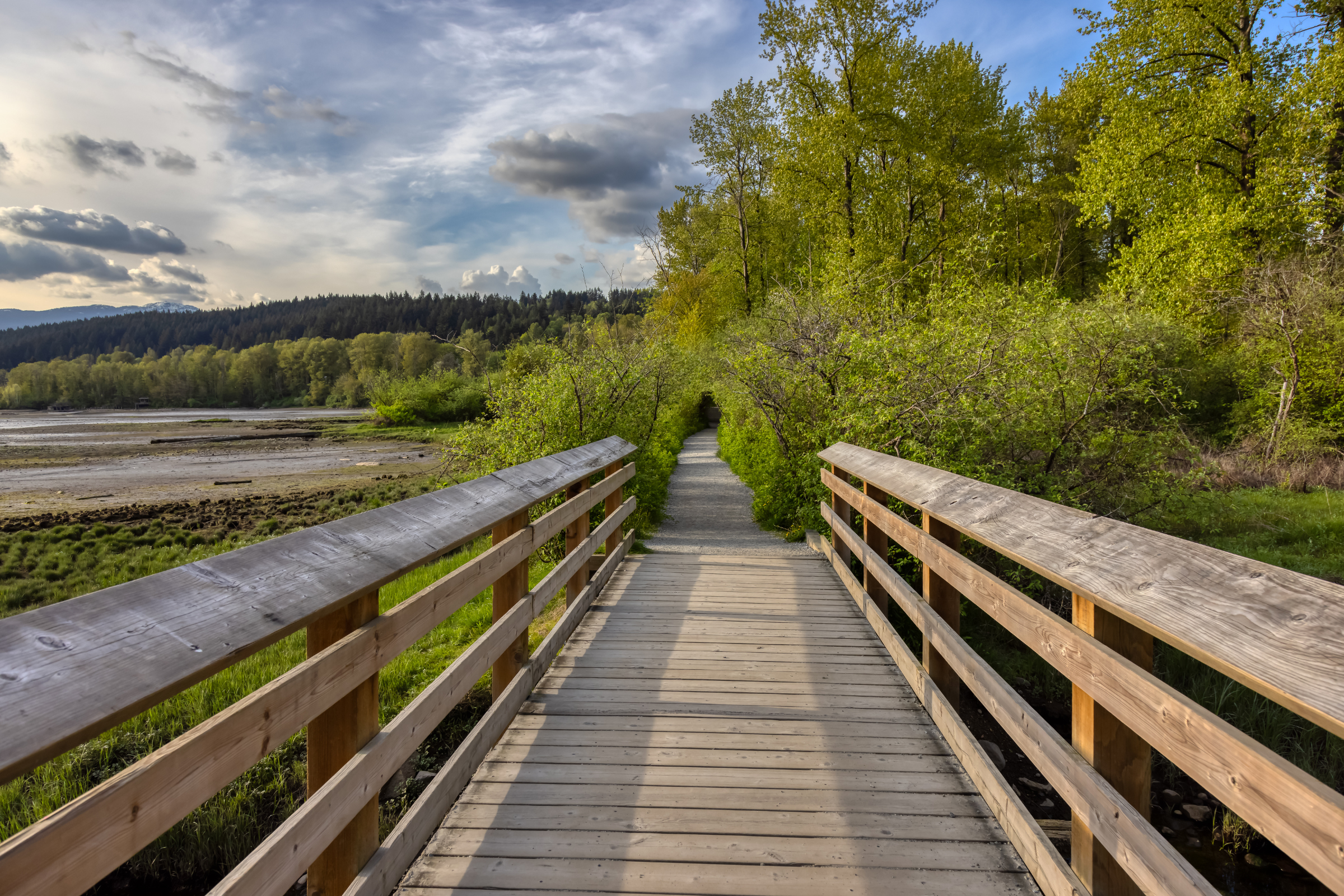 Port-Moody-Shoreline-Trail.png