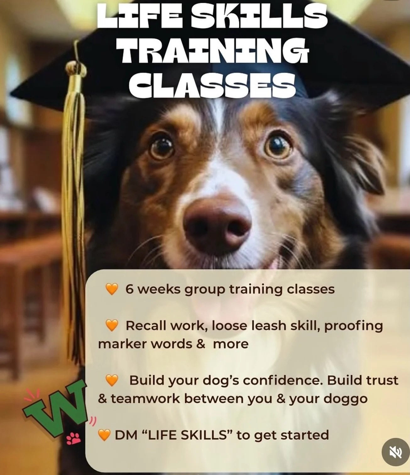 Our current Life Skills Training Course is officially full. 🐾

We&rsquo;re so excited to get started with this group and help them build:

⭐ reliable recall
⭐ loose leash walking
⭐ calm focus around distractions
⭐ confidence in everyday life

If you