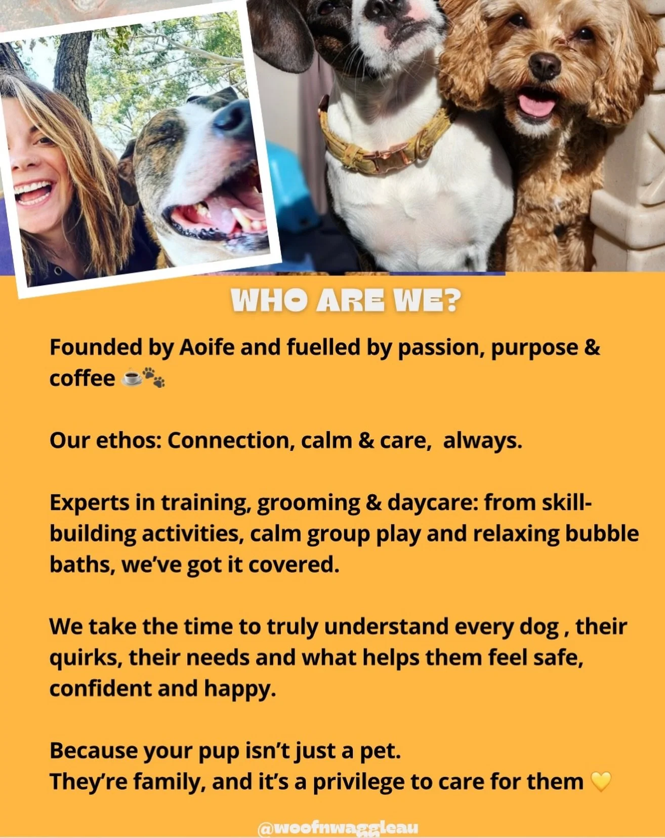 WHO ARE WE? 💚🐾

Founded by Aoife and fuelled by passion, purpose &amp; plenty of coffee ☕🐾

Our ethos: calm dogs, meaningful connection, and thoughtful care, always. ✨

At Woof n&rsquo; Waggle we specialise in structured daycare, training and groo