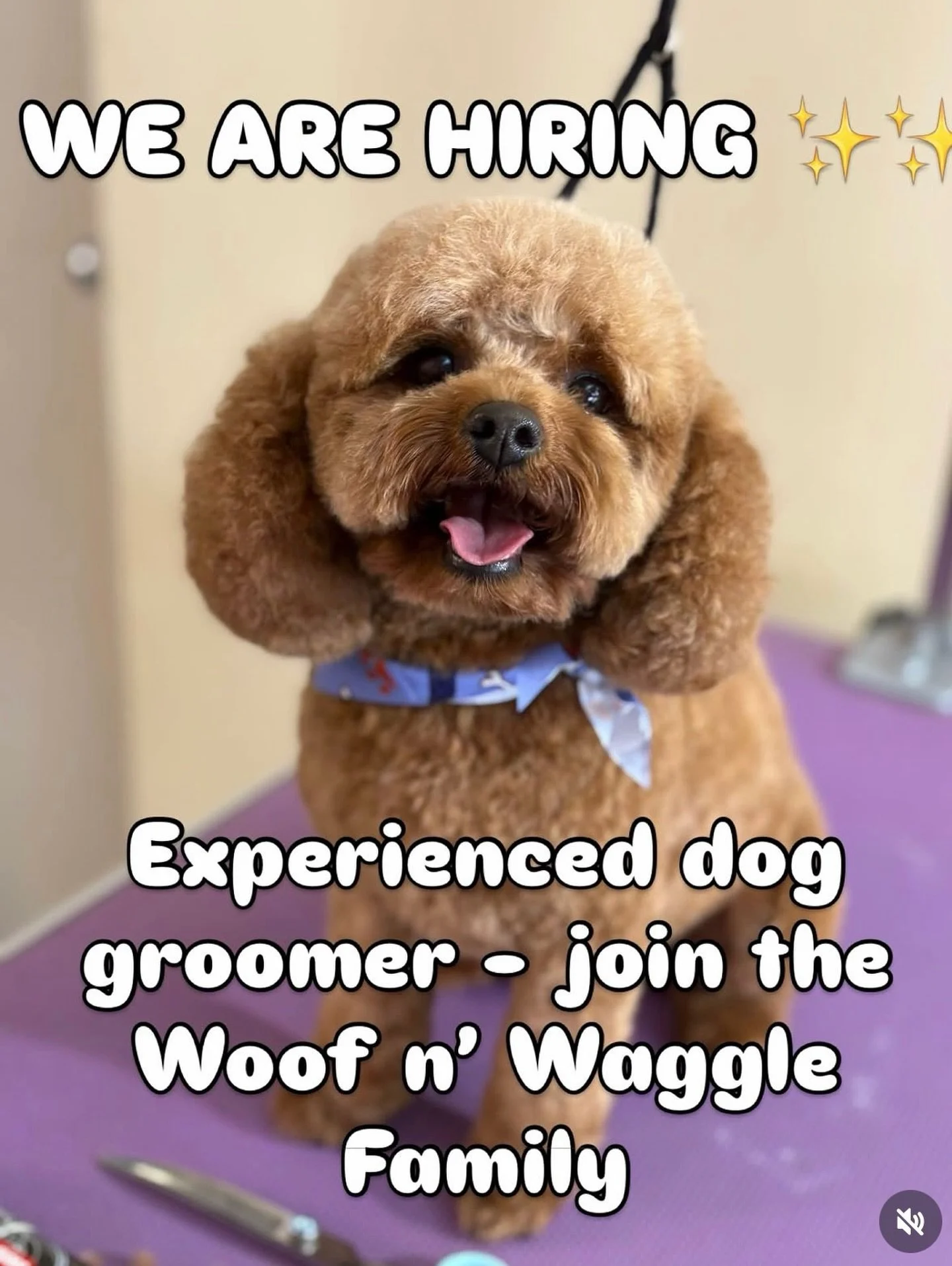 At Woof n&rsquo; Waggle Dog DayCare &amp; Groom Saloon, we do grooming differently 💚
We&rsquo;re all about calm, connection, and creating positive experiences for every dog who walks through our doors.

We&rsquo;re looking for an experienced groomer