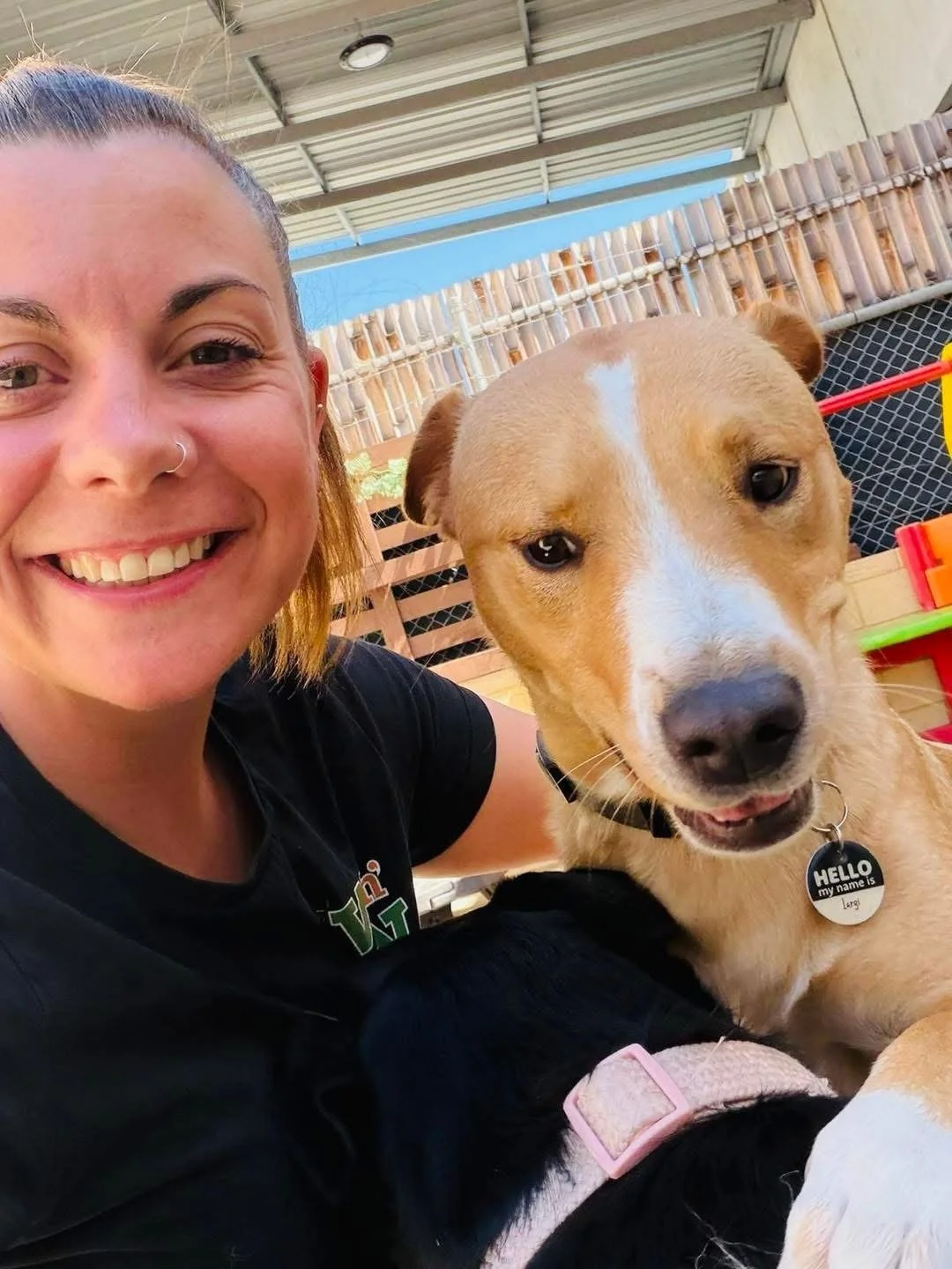 The moments in between that make it all magic 💫🐾

#photos #dailyphotos #daycare #dogsofperth #perthlife
