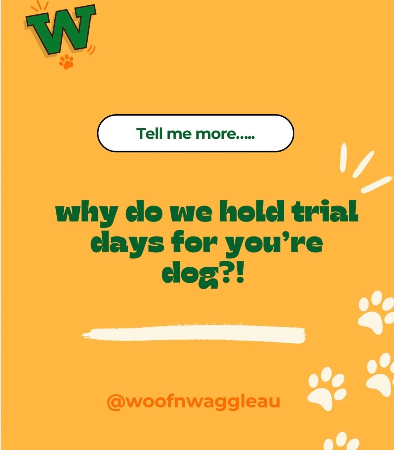 Trial days aren&rsquo;t a &ldquo;test&rdquo;&hellip; they&rsquo;re the foundation. 💚

It&rsquo;s where we get to know your dog, their energy, their quirks, what makes them feel safe. So we can place them into the right environment, not just any envi