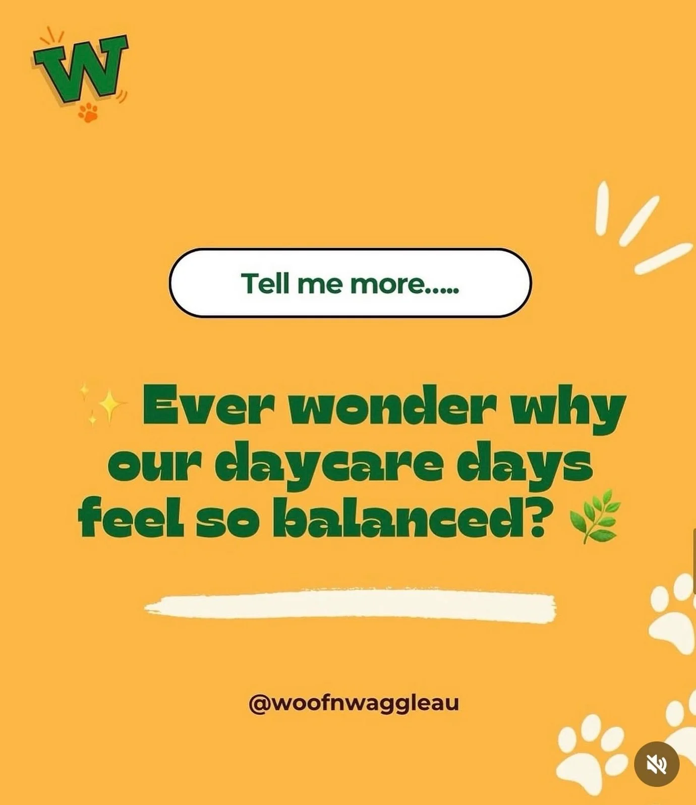 It&rsquo;s not luck, it&rsquo;s intention. 💛 We really look at each dog&hellip; their energy and their personality. 

We carefully match playgroups, guide interactions, and create space for both play and rest&hellip; because true confidence comes fr