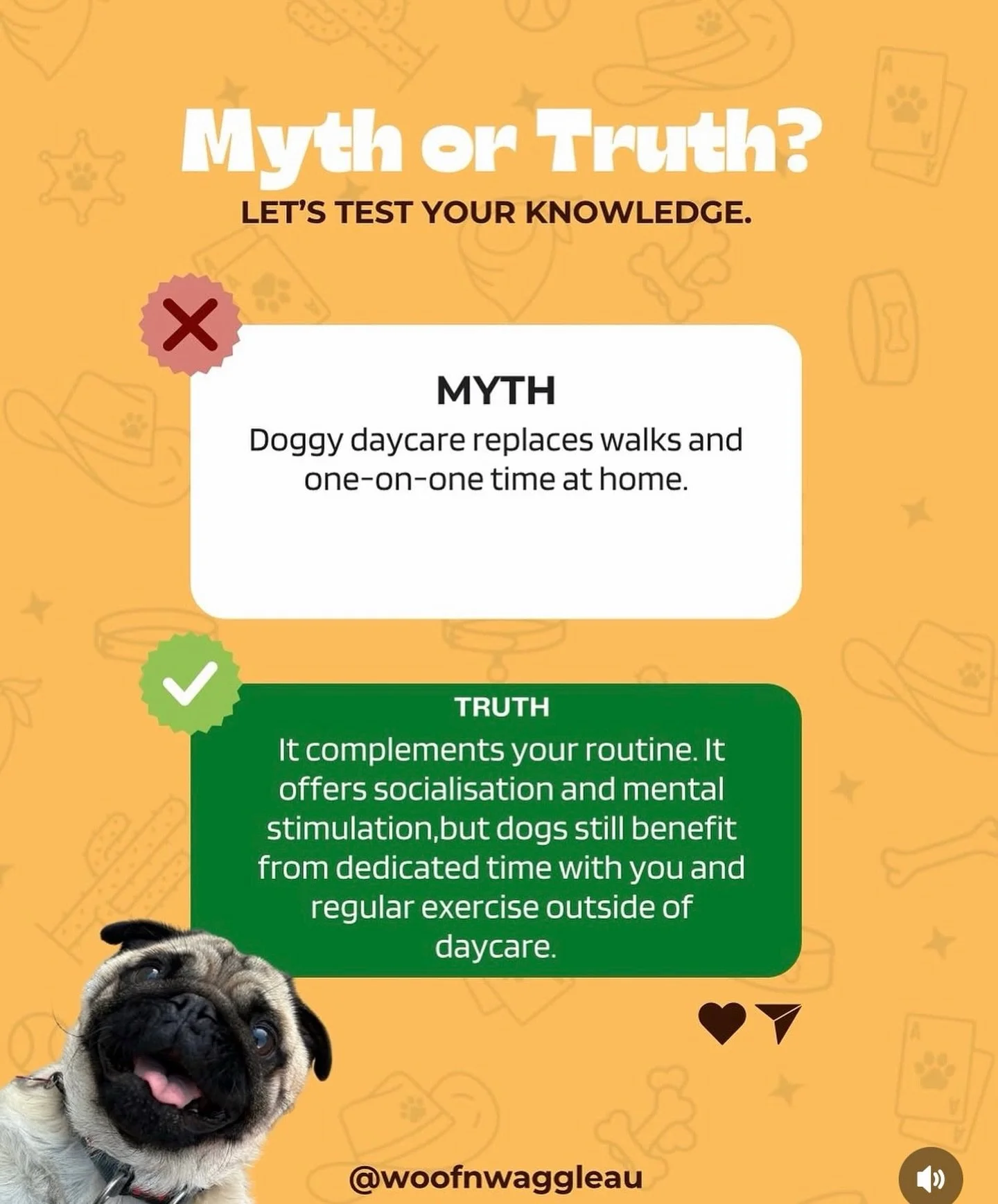 Myth: Daycare replaces walks 🚫

Truth&hellip; it doesn&rsquo;t. And it shouldn&rsquo;t.

Daycare is amazing for social time, structure, and mental work&hellip;but nothing replaces time with you. 💛

The walks, the quiet moments, the connection, that