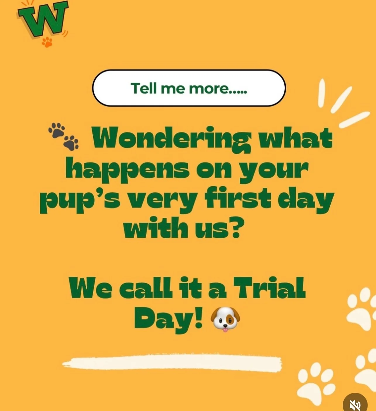 🌟 Trial Day&rsquo;s set up for success from the very start 🐶✨

Before your pup even walks through our doors, we&rsquo;re already thinking about them. Who they are, what they need, and how we can make their first day feel safe and positive 💚

Here&