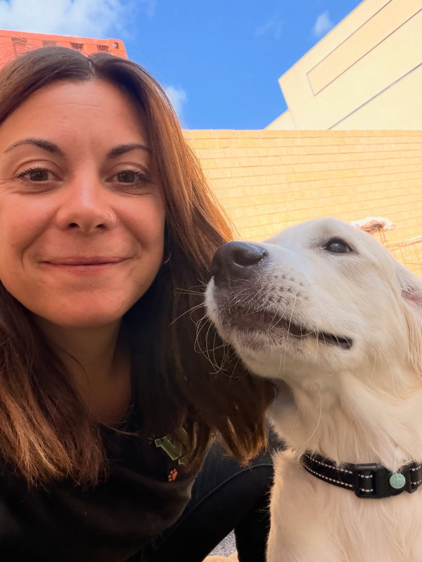 We somehow always end up in a full cuddle puddle. 🐾💛 🤣

Doesn&rsquo;t matter how busy it gets, how many zoomies happen, or how many serious training moments we&rsquo;re in&hellip;theres always time for cuddles 🥰 And honestly&hellip; we wouldn&rsq