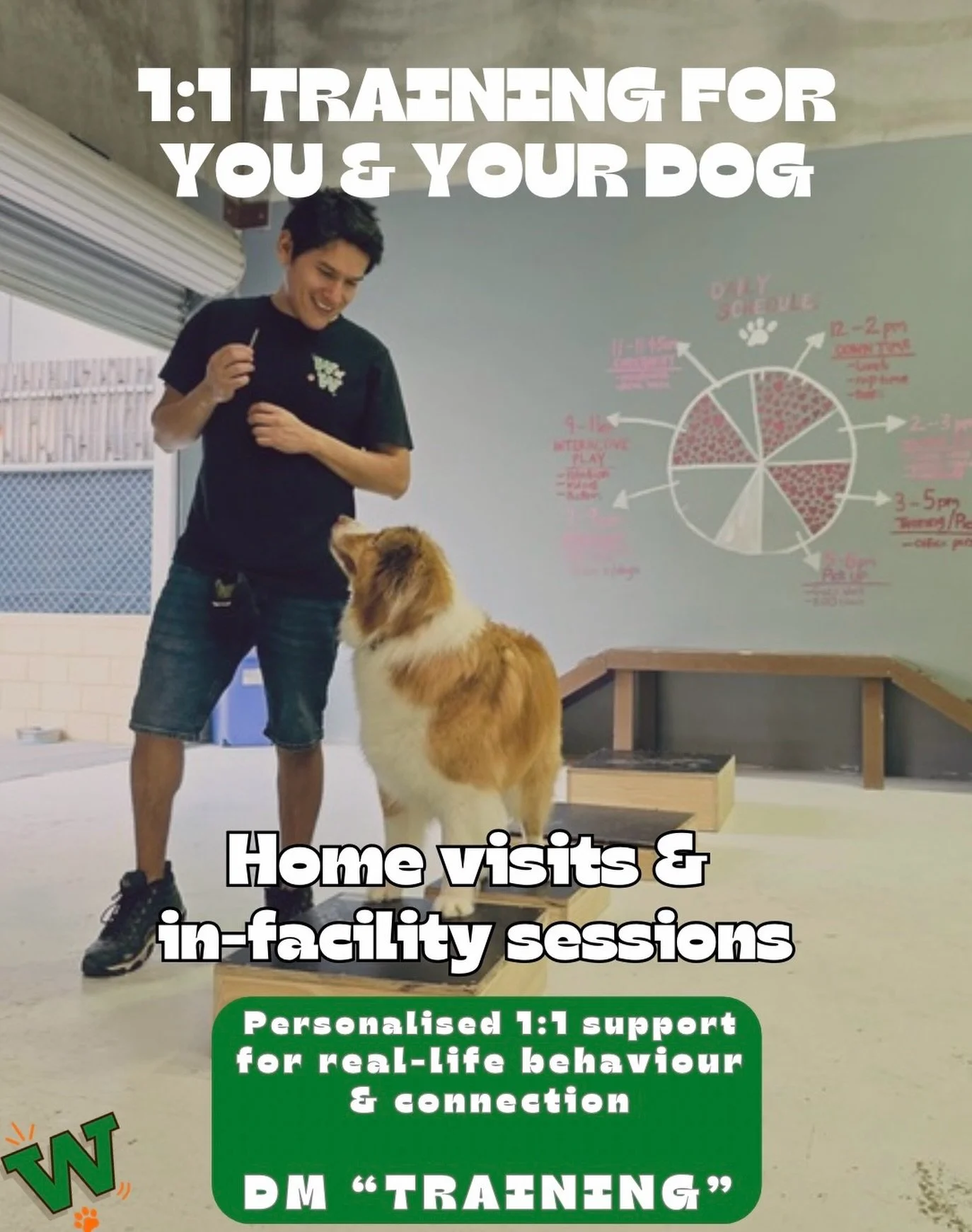 It&rsquo;s here&hellip; a new way for us to support you and your dogs, alongside the daycare you already know and love. 💛🐾

🔥 1:1 training for you and your dog, at your home or at our facility.

This is a really big moment for us. 🫶

Because some