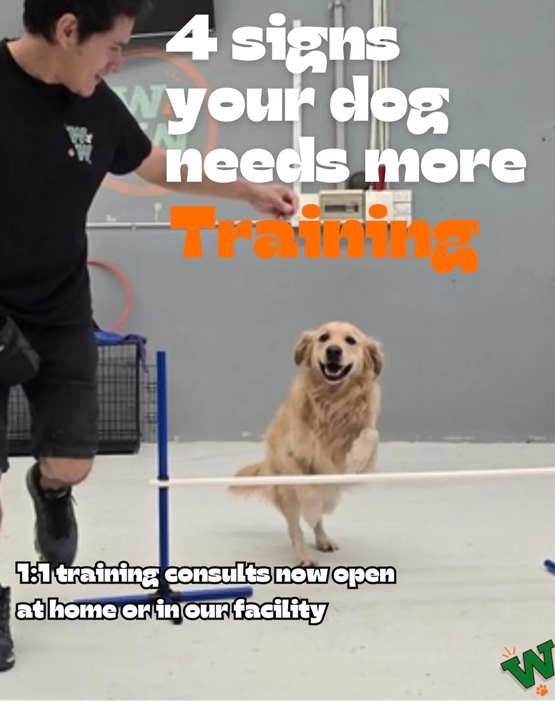 Not every dog (or human) is suited to group training&hellip; and that&rsquo;s okay. 💛

If your dog:
✨gets overwhelmed or reactive
✨struggles to focus, even on walks
✨barks or feels chaotic at home
✨or you feel like you&rsquo;ve tried everything

You