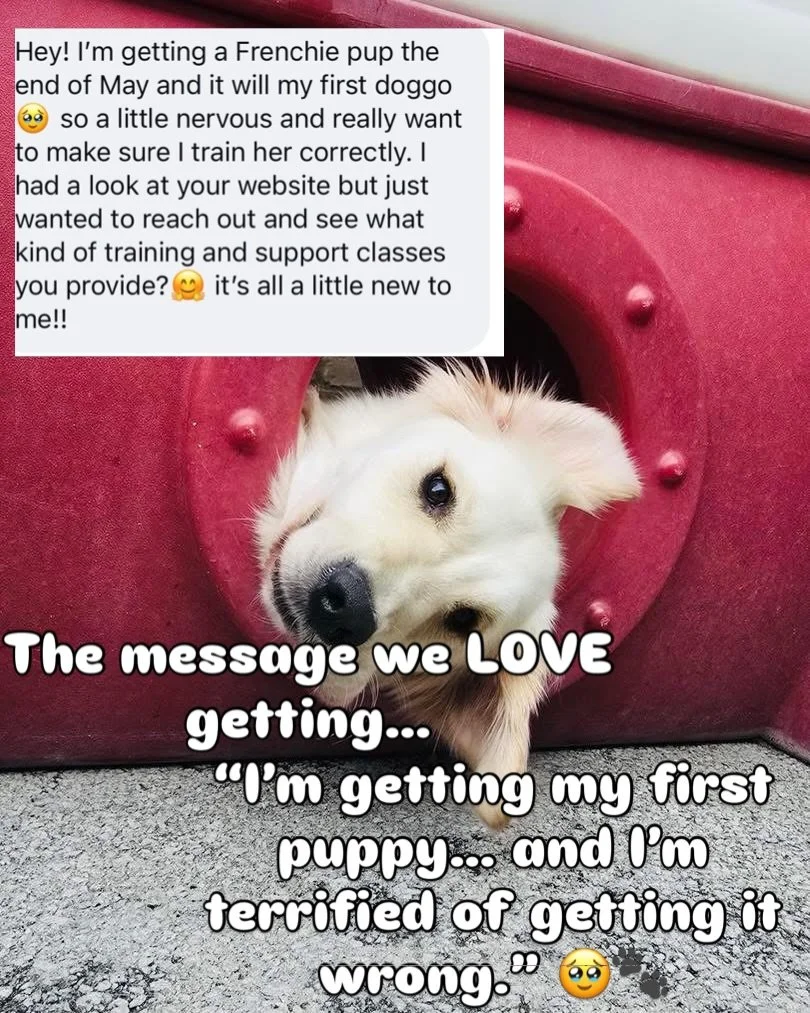 That message honestly made our day. 🥹🐾

&ldquo;I&rsquo;m getting my first puppy&hellip; and I&rsquo;m terrified of getting it wrong.&rdquo;

Truthfully? The best dog owners aren&rsquo;t the ones who &ldquo;know it all&rdquo;&hellip;They&rsquo;re th