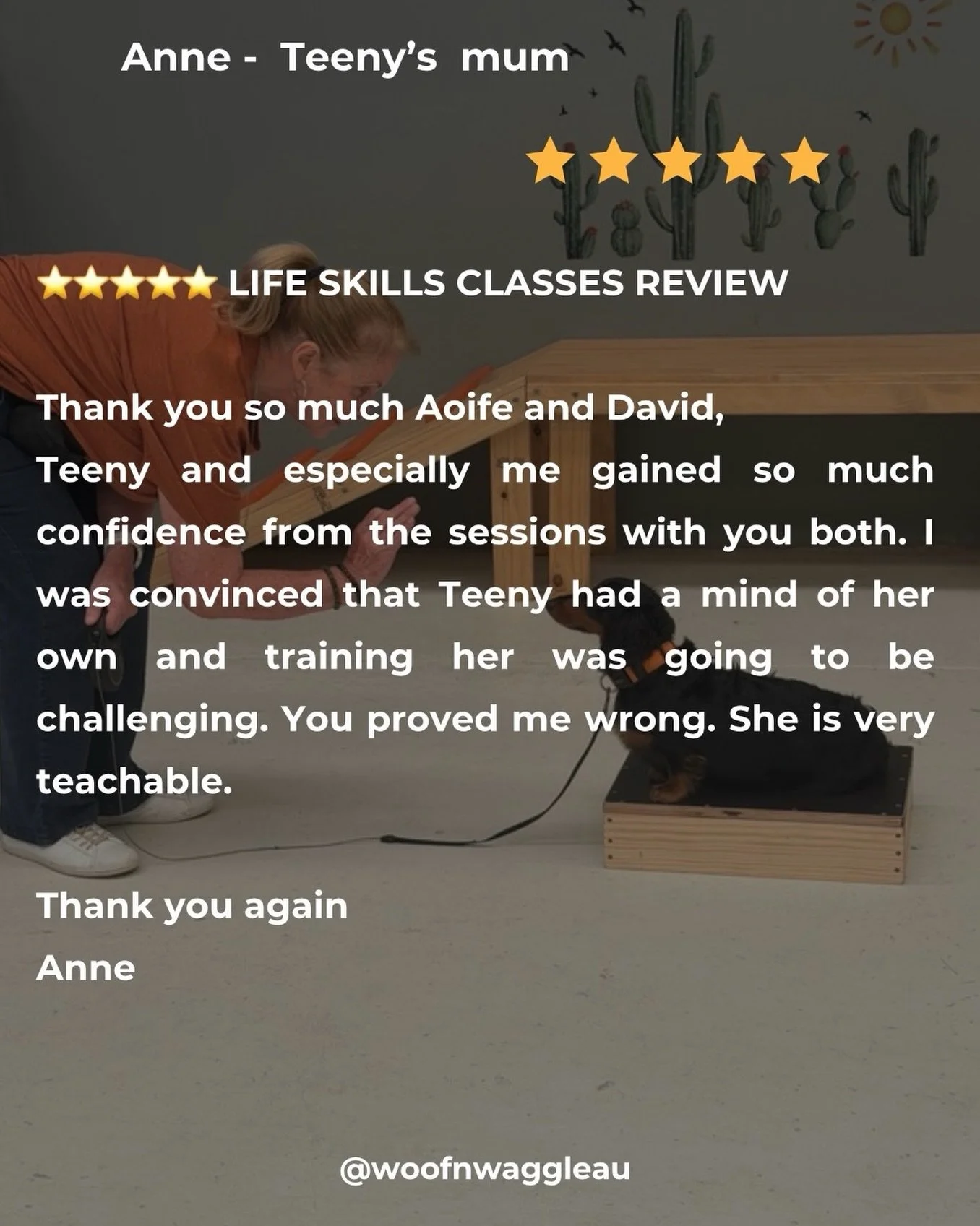 &ldquo;This&hellip; this is why we do what we do. 🧡🐾

Watching not just dogs grow in confidence&hellip; but their humans too&hellip; honestly never gets old.

Anne and little Teeny have shown up week after week with open minds, big hearts, and a wi