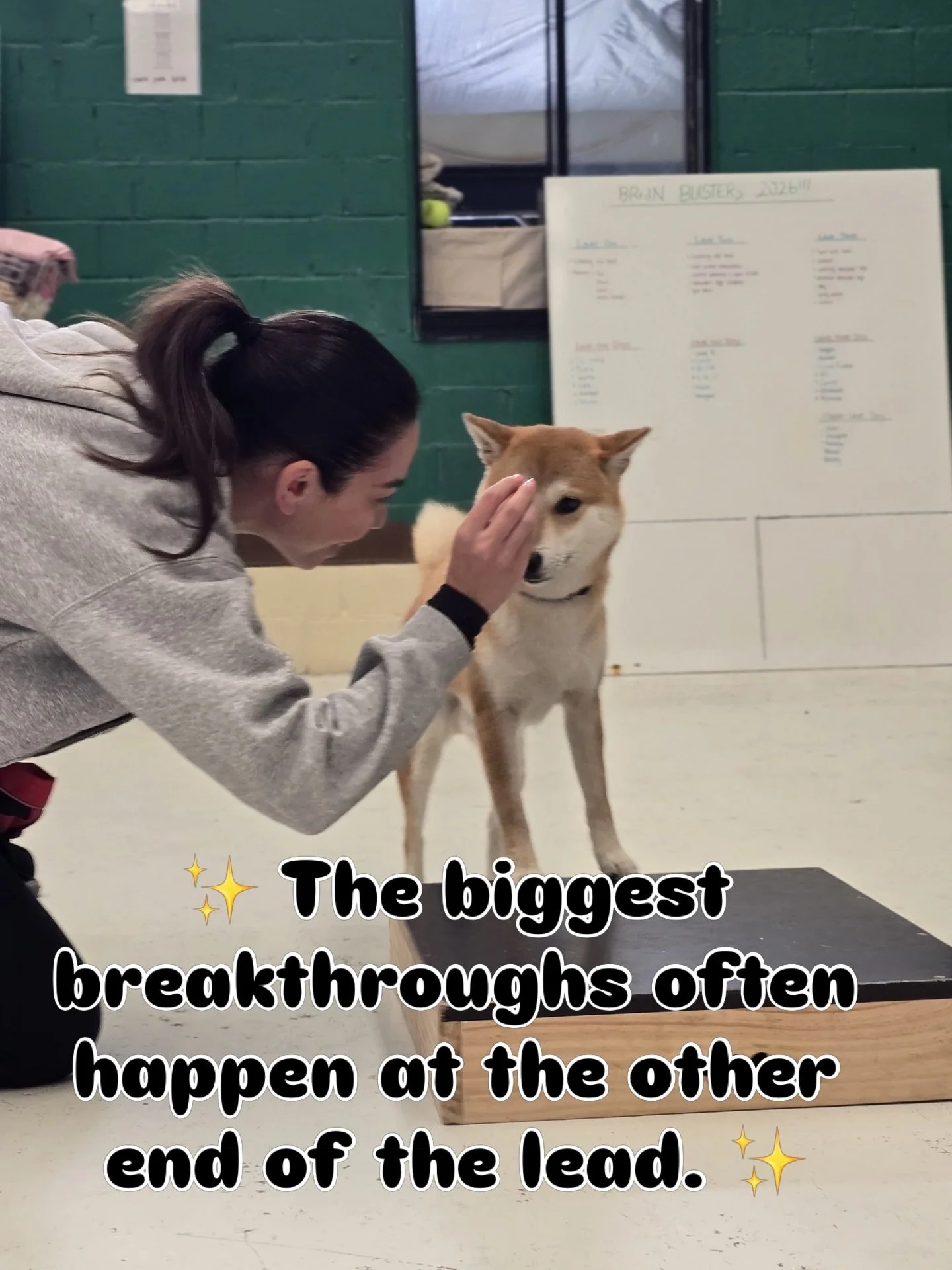 Alfie &amp; Kenji may look like they&rsquo;re the ones doing all the learning here&hellip; but the truth is?

Dogs aren&rsquo;t the only ones being trained. 💛🐾

So much of what happens in our 1:1 sessions is actually about guiding and supporting th