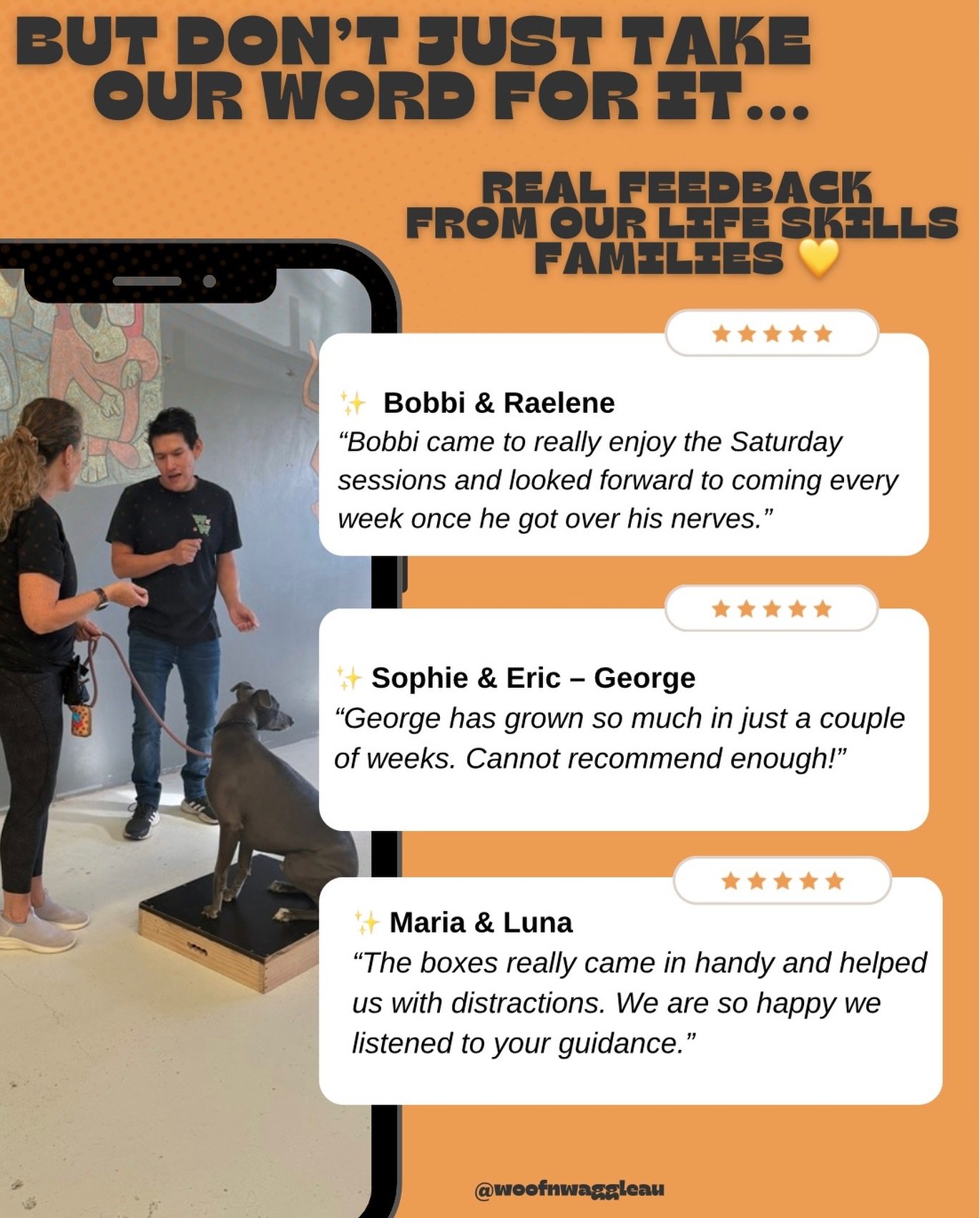 When it comes to training, hearing it from other dog owners means everything 💛🐾

These are just a few of the kind words from families who have walked through our Life Skills journey with us.

From nervous dogs finding confidence&hellip;
To practica