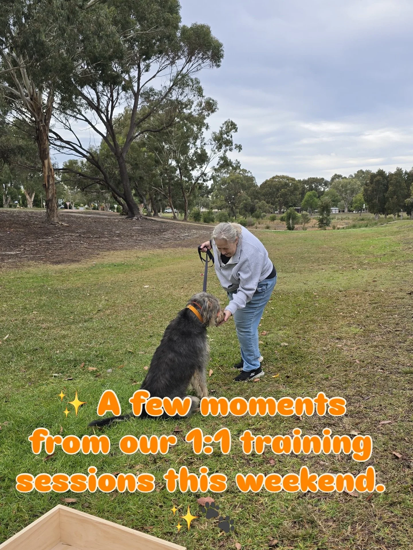 One of the biggest misconceptions in dog training is that we&rsquo;re training the dog.

In reality, we&rsquo;re teaching both ends of the lead. 💛

These sessions aren&rsquo;t about forcing obedience or chasing perfection. They&rsquo;re about helpin