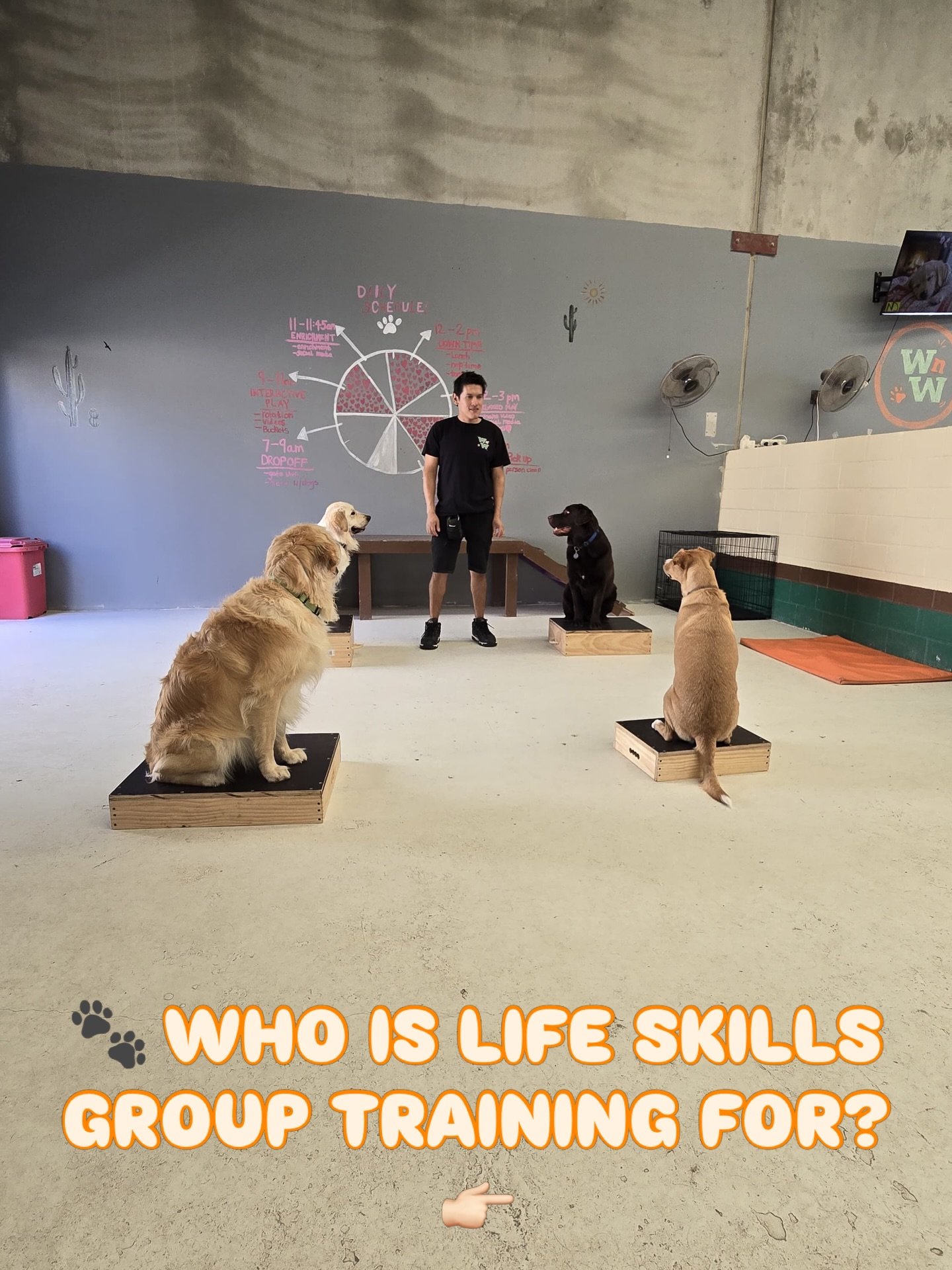 🐾 &ldquo;My dog knows sit&hellip; but that&rsquo;s not really the problem.&rdquo;

The biggest challenges most owners face aren&rsquo;t obedience commands.

It&rsquo;s the pulling on lead.

The jumping on visitors.

The dog who can&rsquo;t switch of