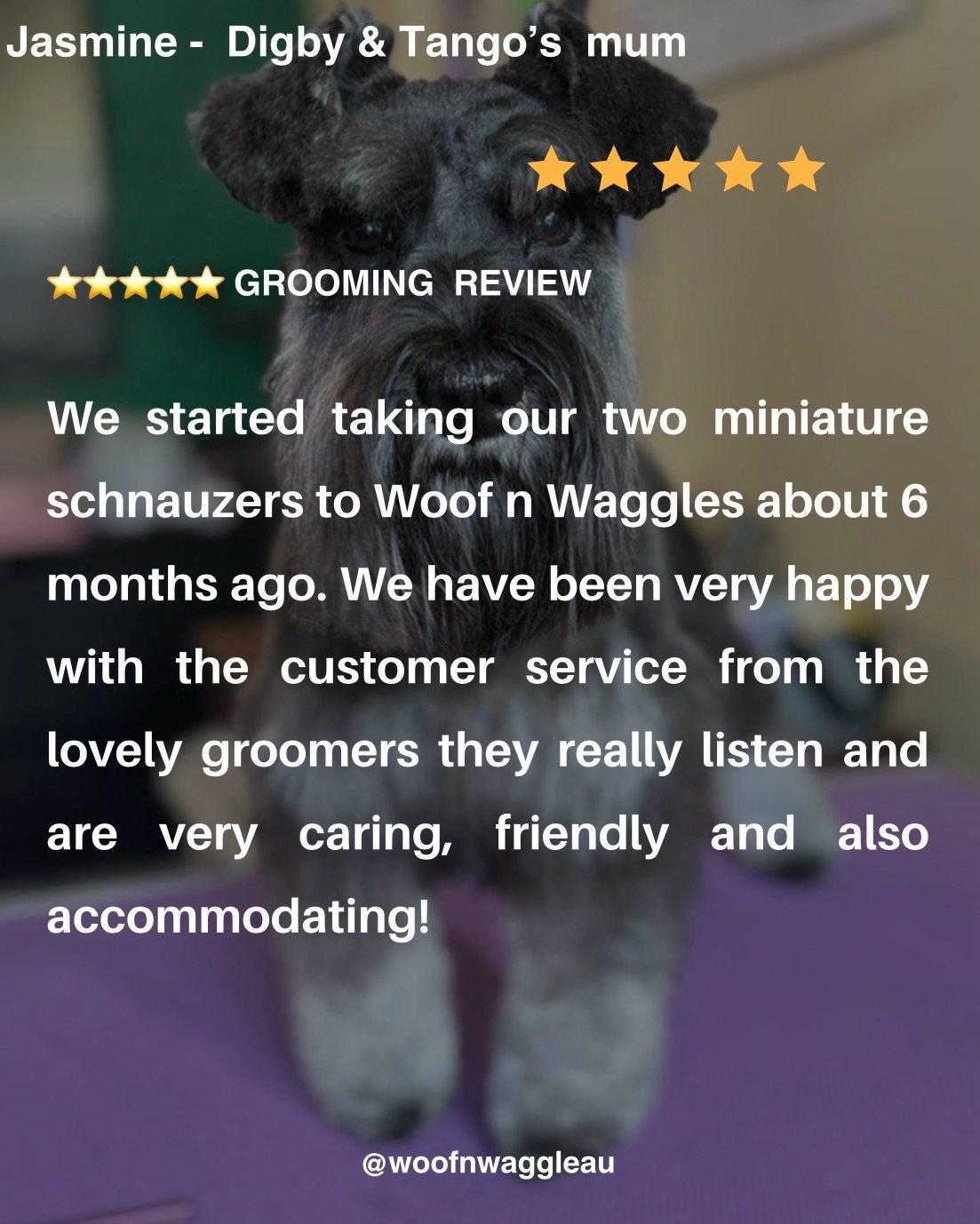 💚 Kind words like these never get old.

Thank you, Jasmine, for trusting us with Digby and Tango over the past six months. 🐾

We know grooming is about so much more than a haircut. It&rsquo;s about building trust, listening to owners, creating a po
