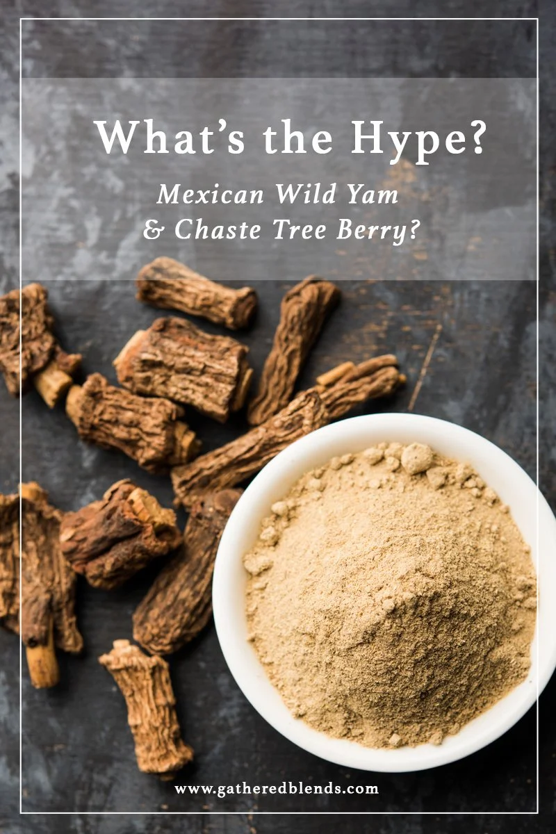 Why Mexican Wild Yam &amp; Chaste Tree Berry?