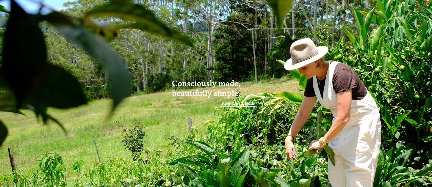 Banner-Blends Gathered Blends Natural Remedy Collection Australia.jpg