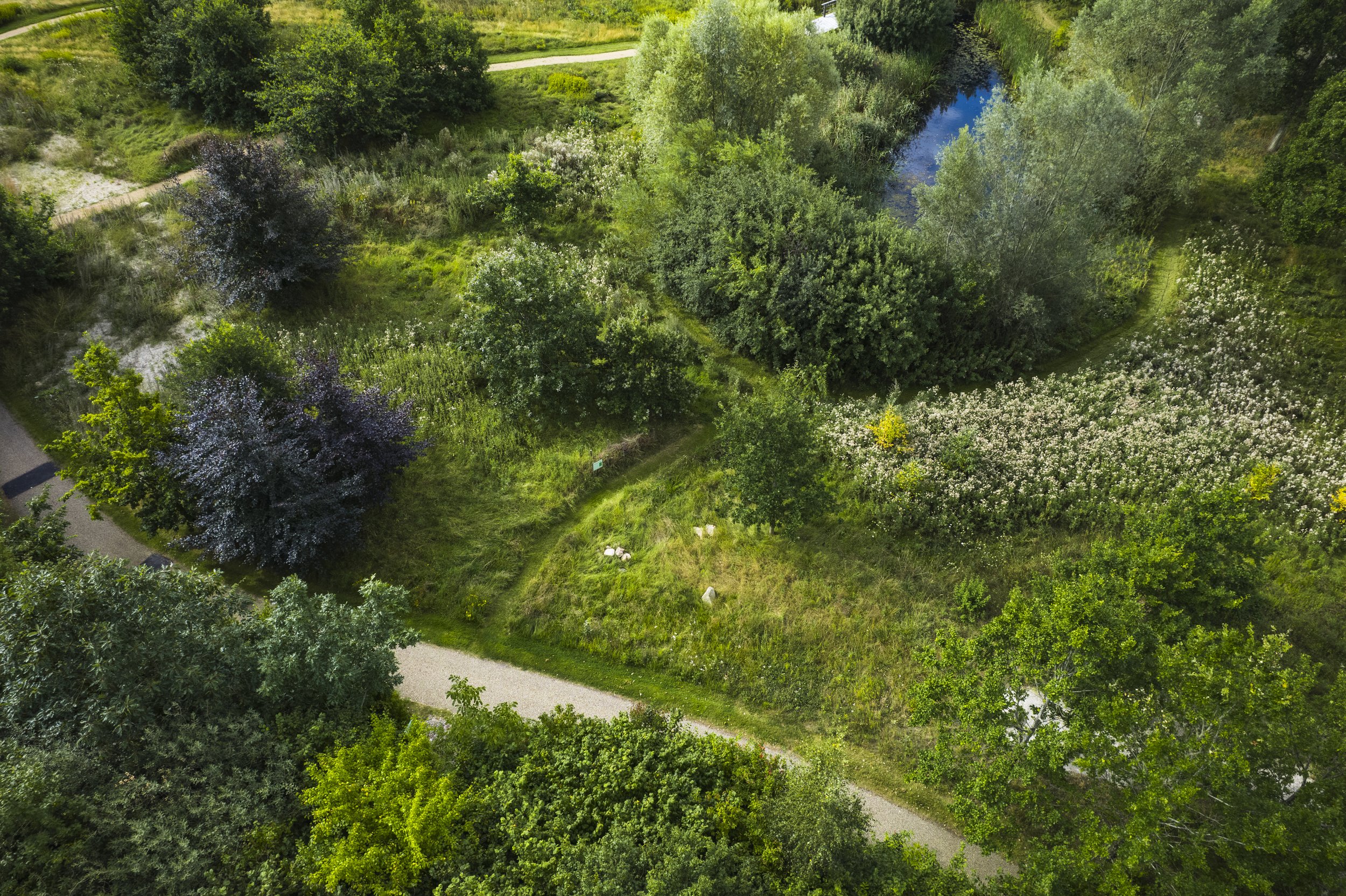 VELUX. Global playbook for natur og well-being