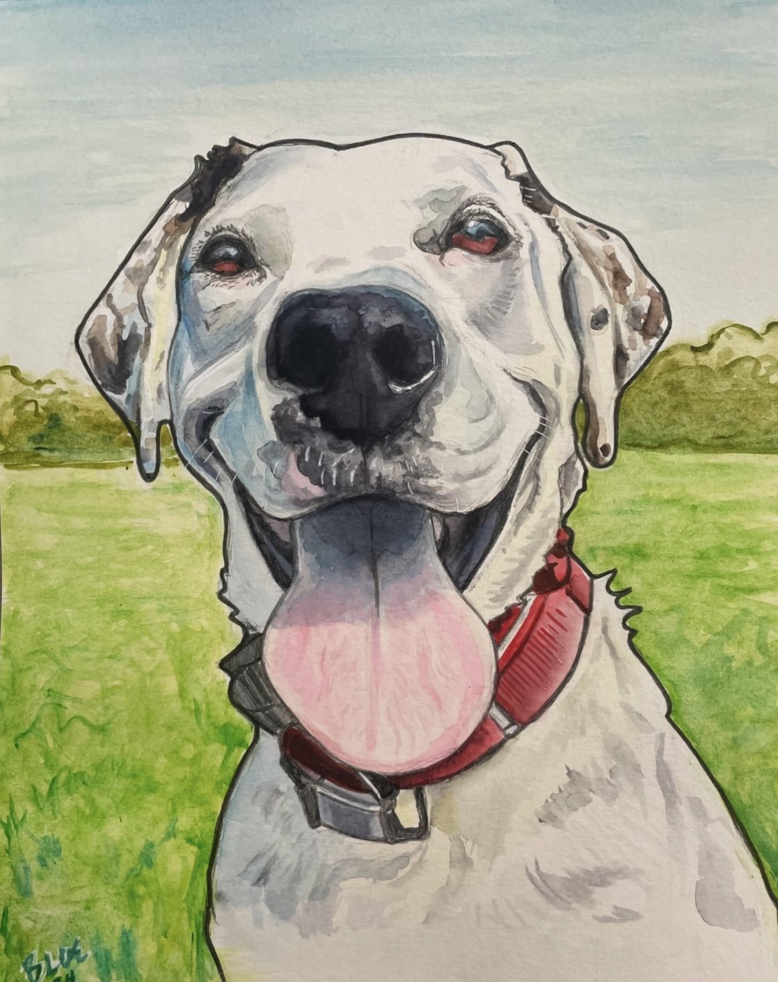 Traditional Commissions