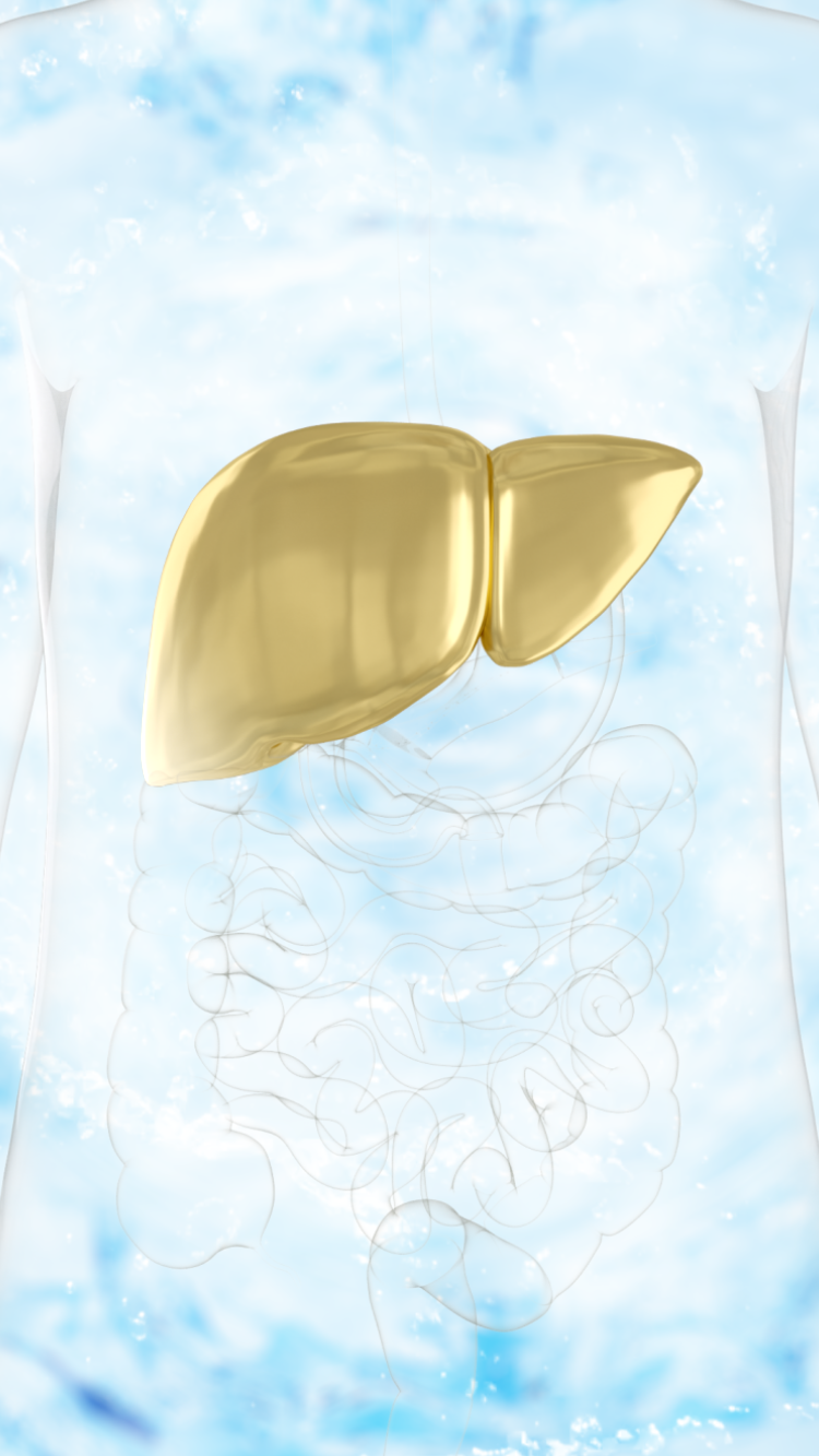 liver_7_tate_7_gold liver_tate_sogo_2025-09-25_03.55.43.png