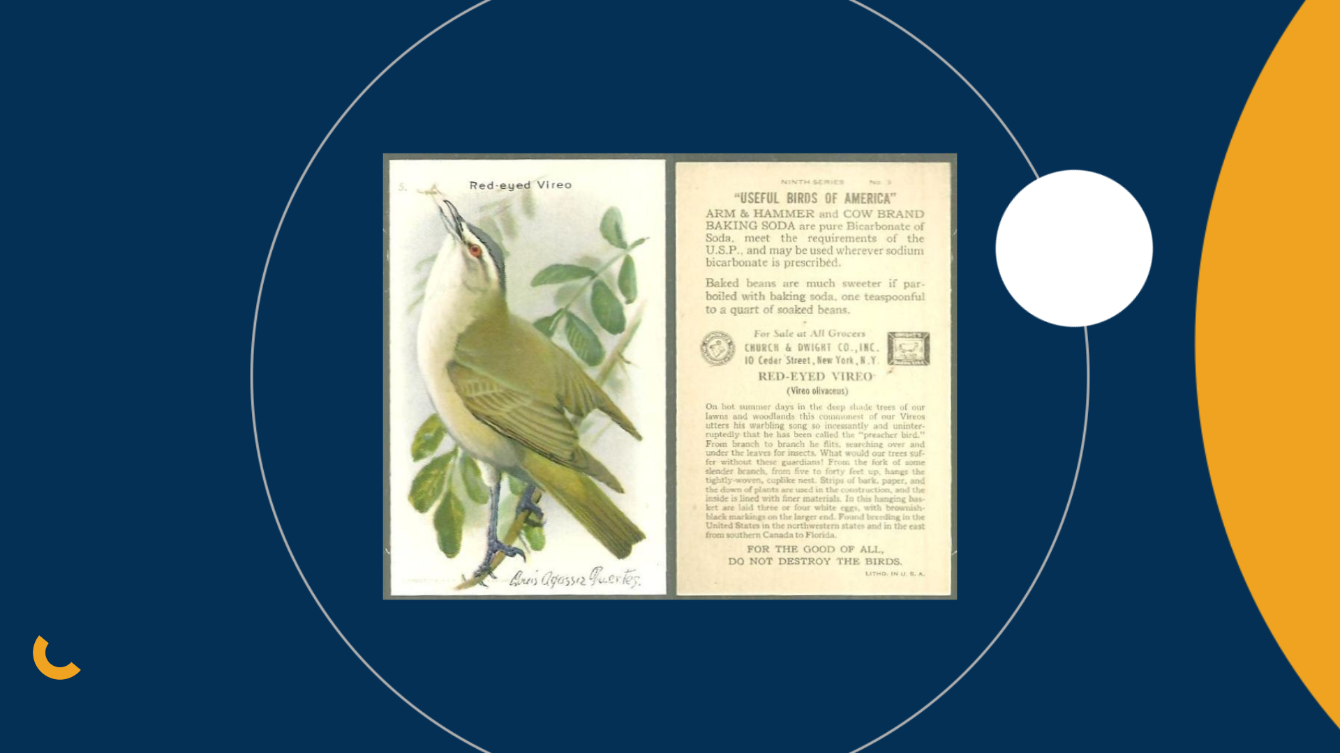 C&D_03 (converted)_C&D_sogo_2026-05-01_04.00.33.png