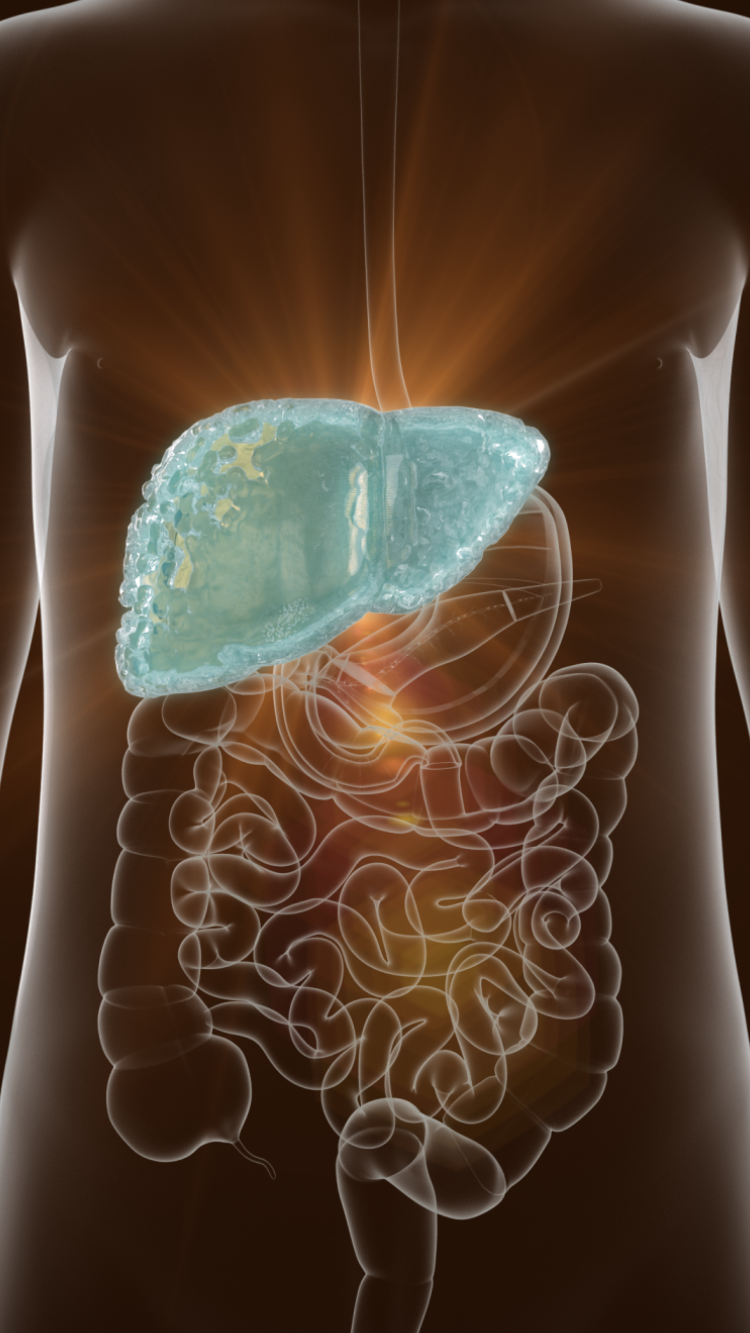 liver_7_tate_7_gold liver_tate_sogo_2025-09-25_03.55.32.png