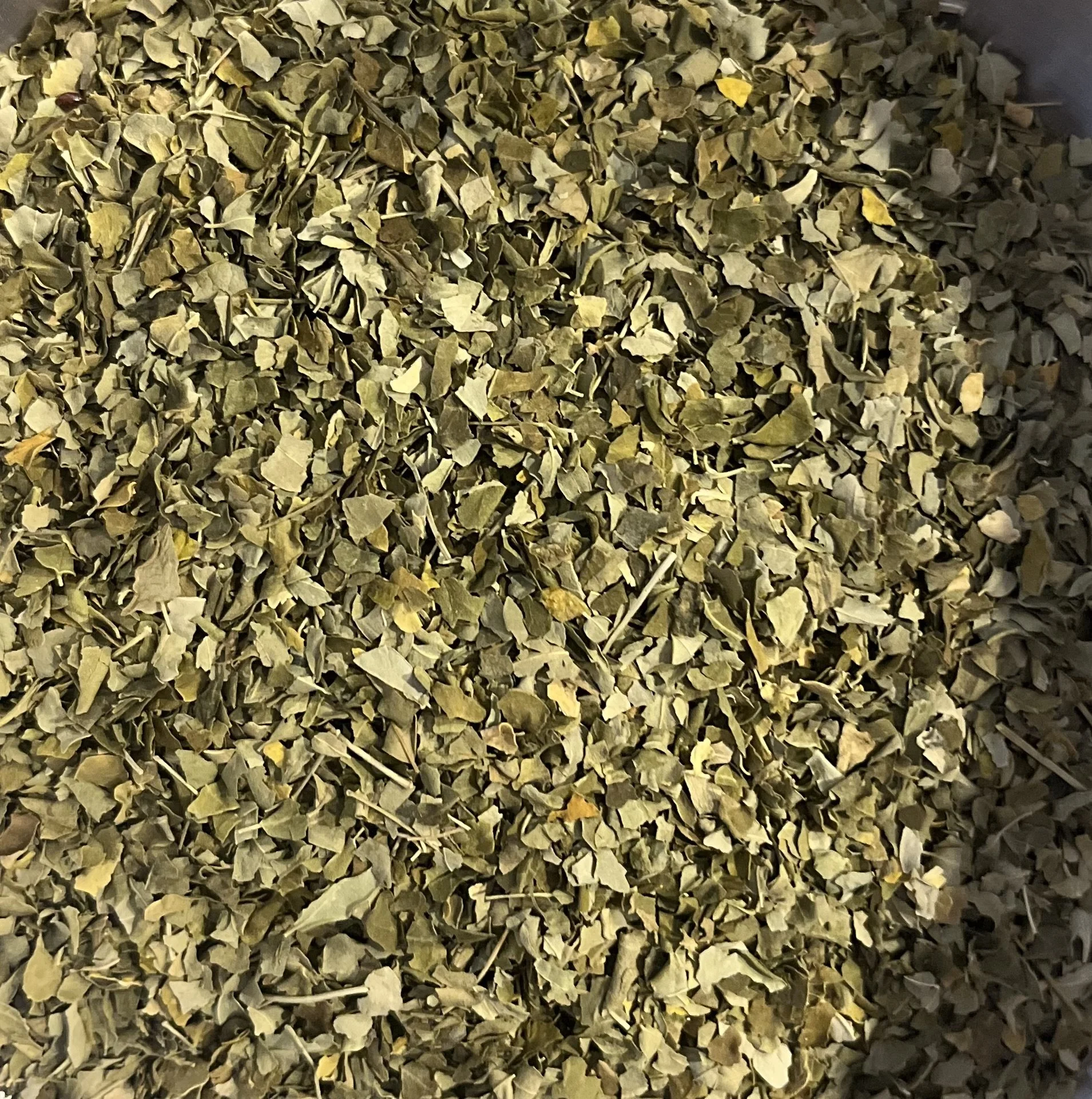 Moringa