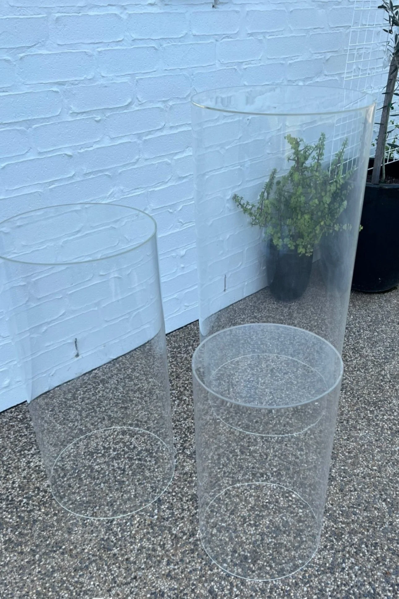 clear+plinth+3.jpg